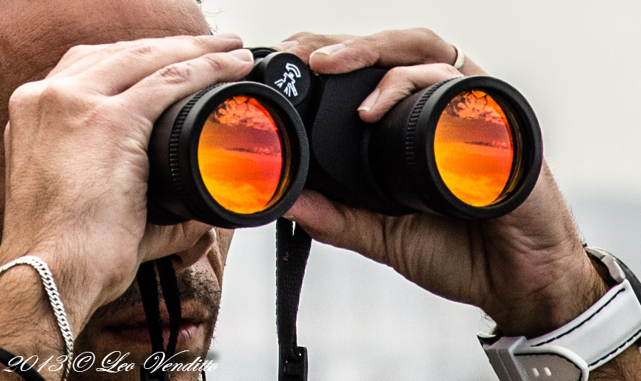Il Binocolo
