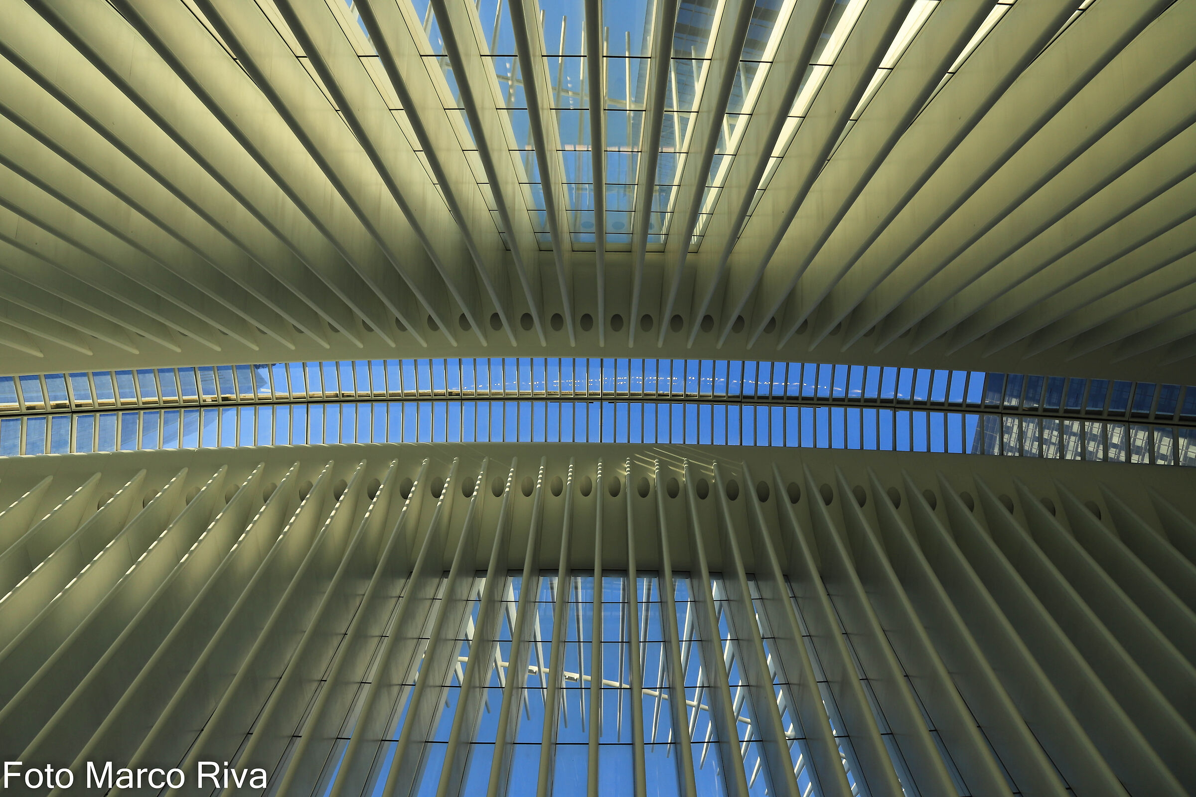 Oculus