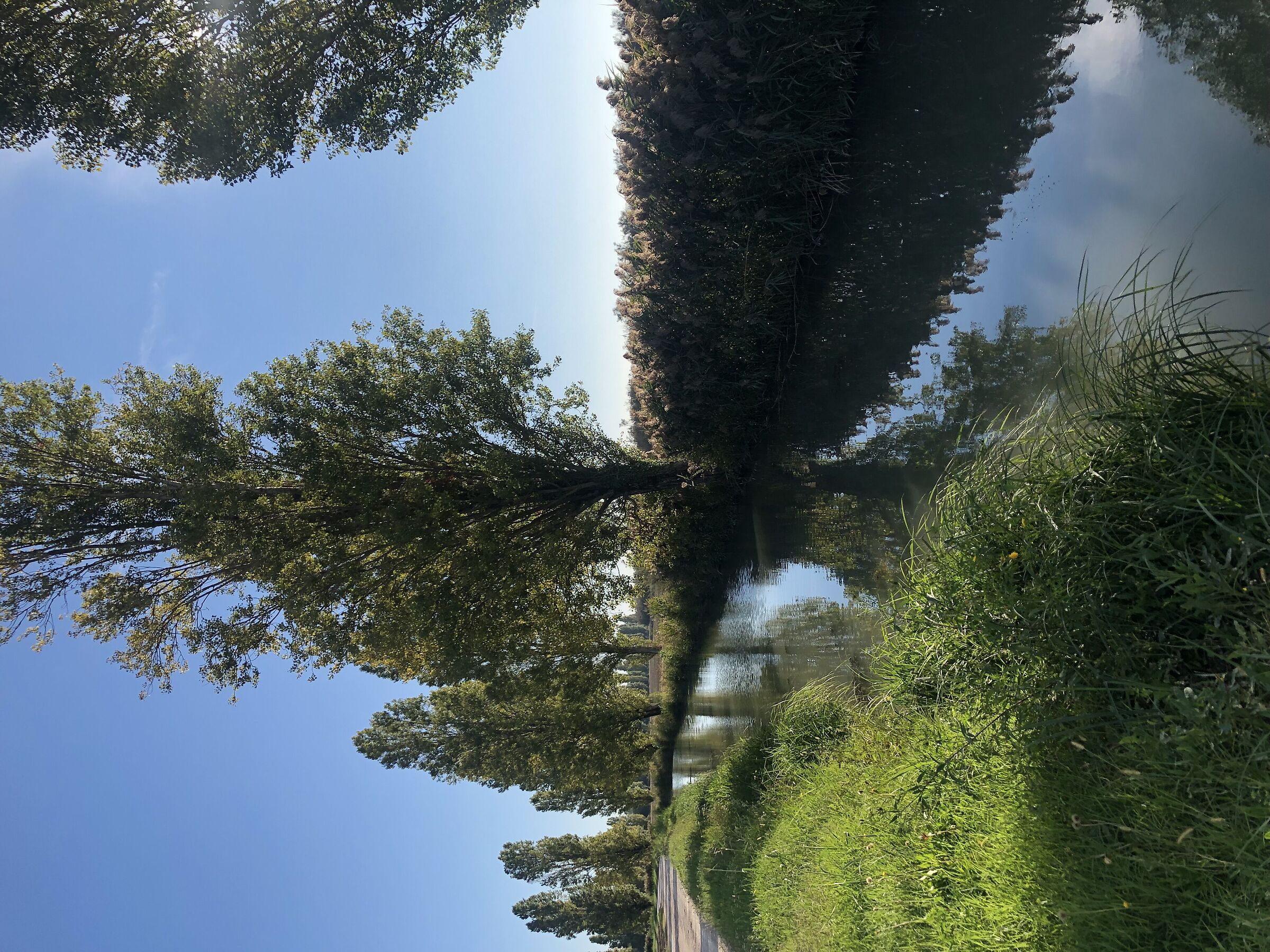 towards the salt marshes