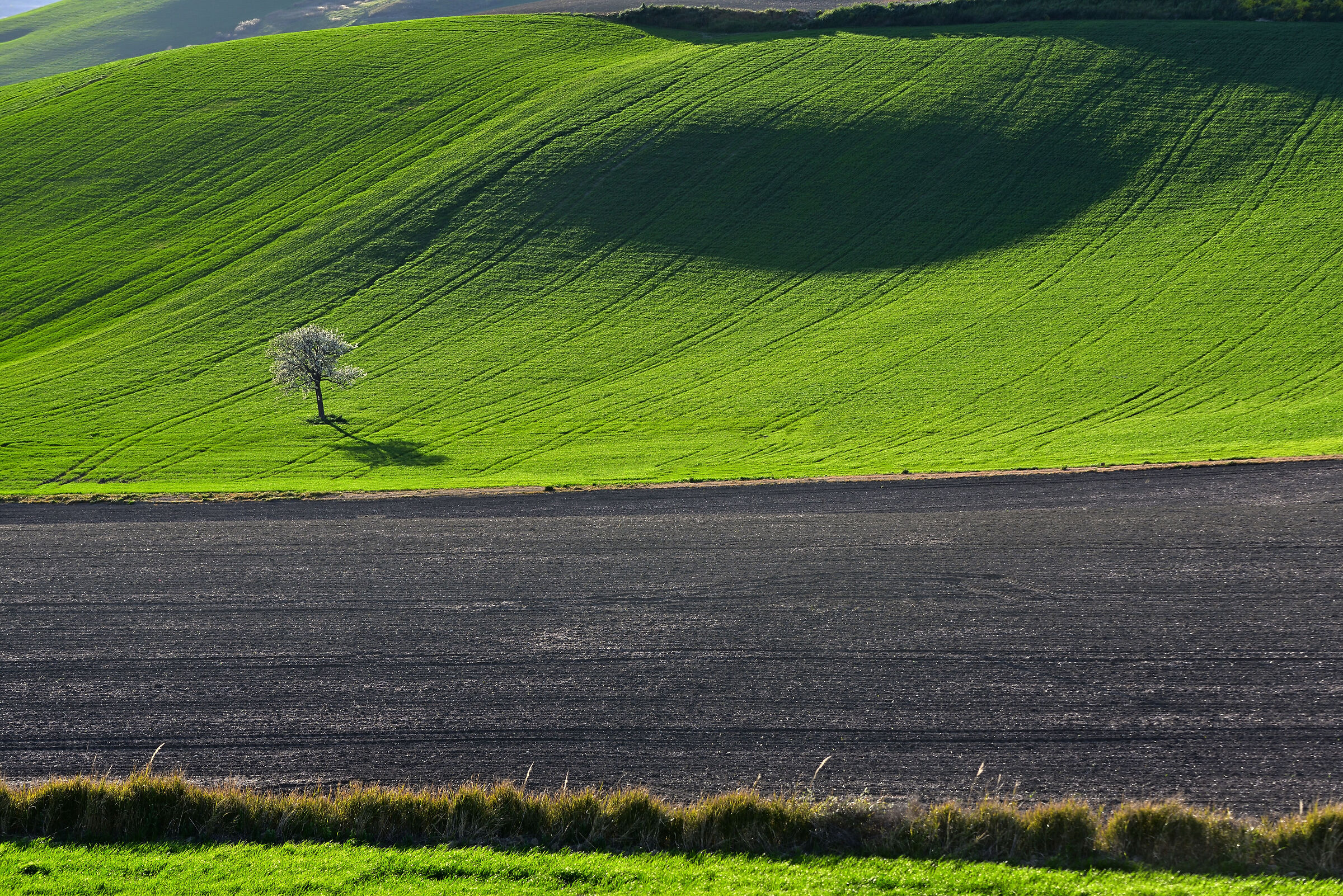 Interruption of green