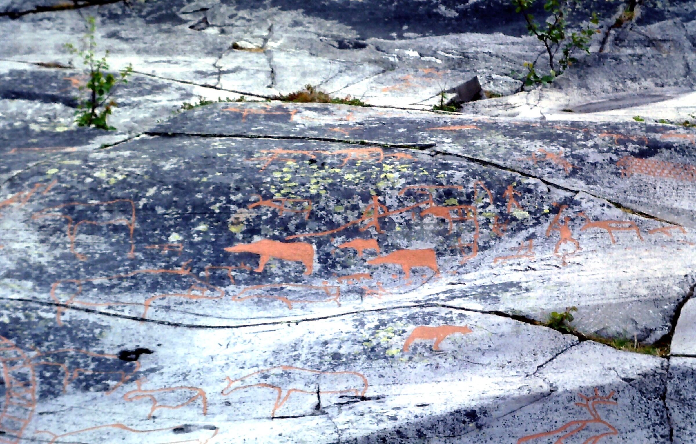 Rock carvings