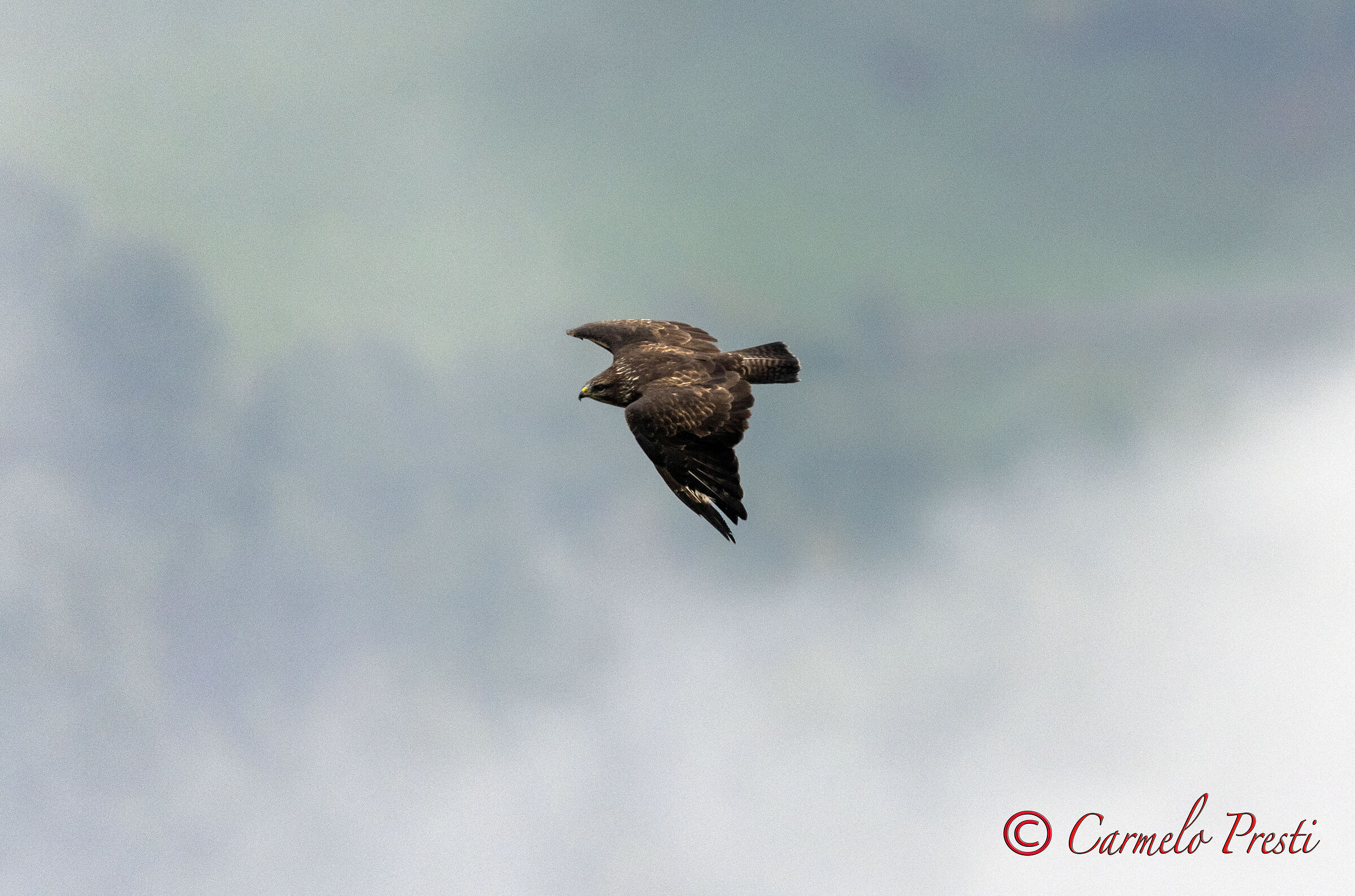 Volo libero