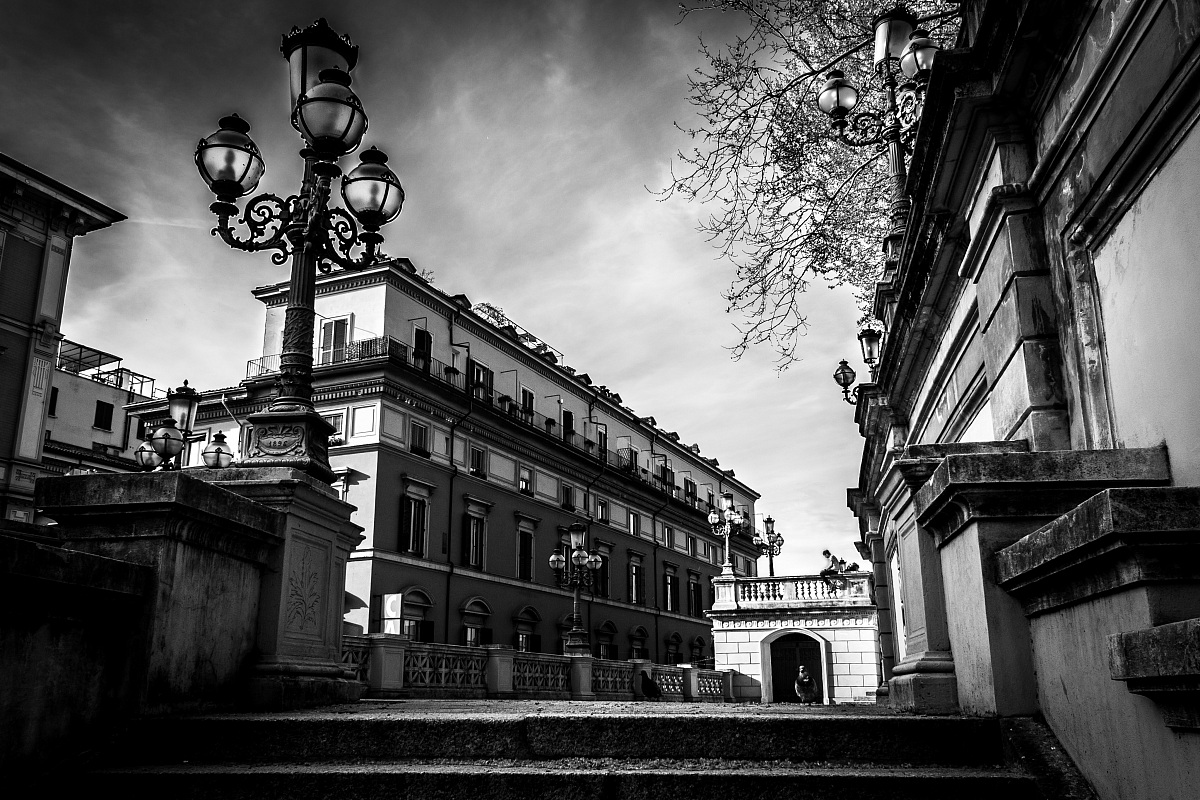 If you find you have won a pigeon