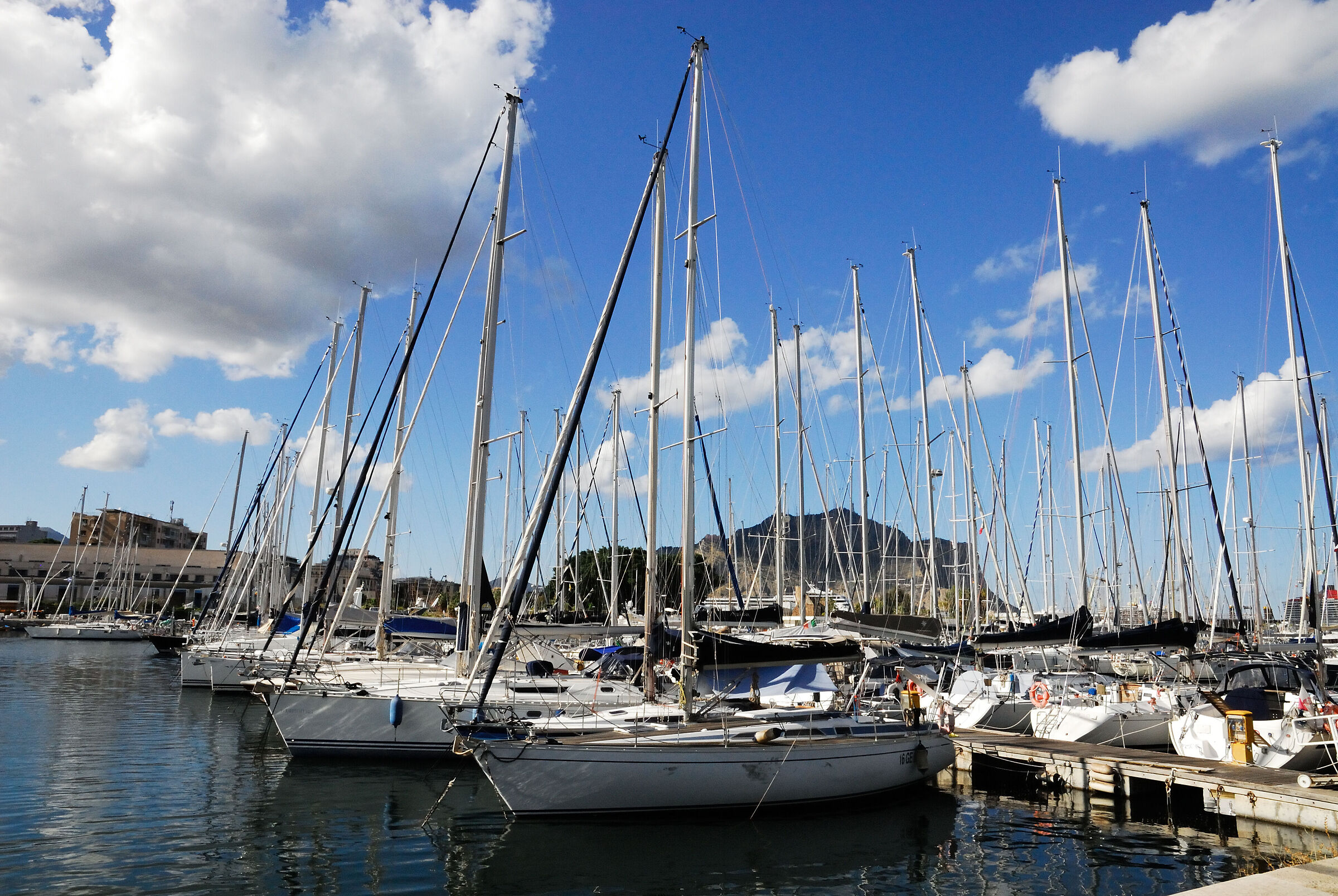 THE "CALA"