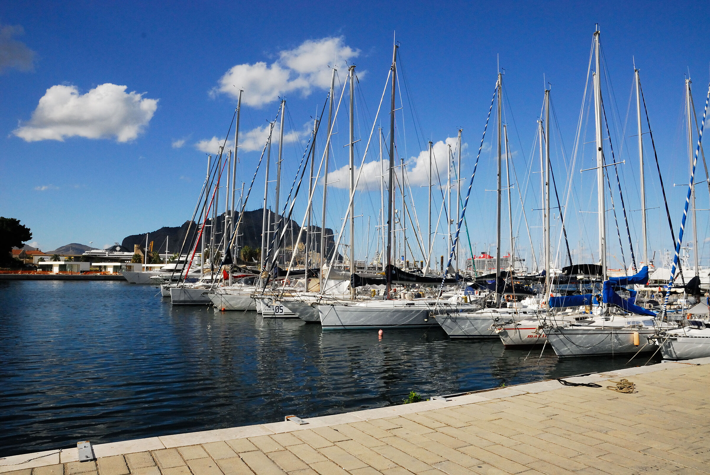 THE "CALA"