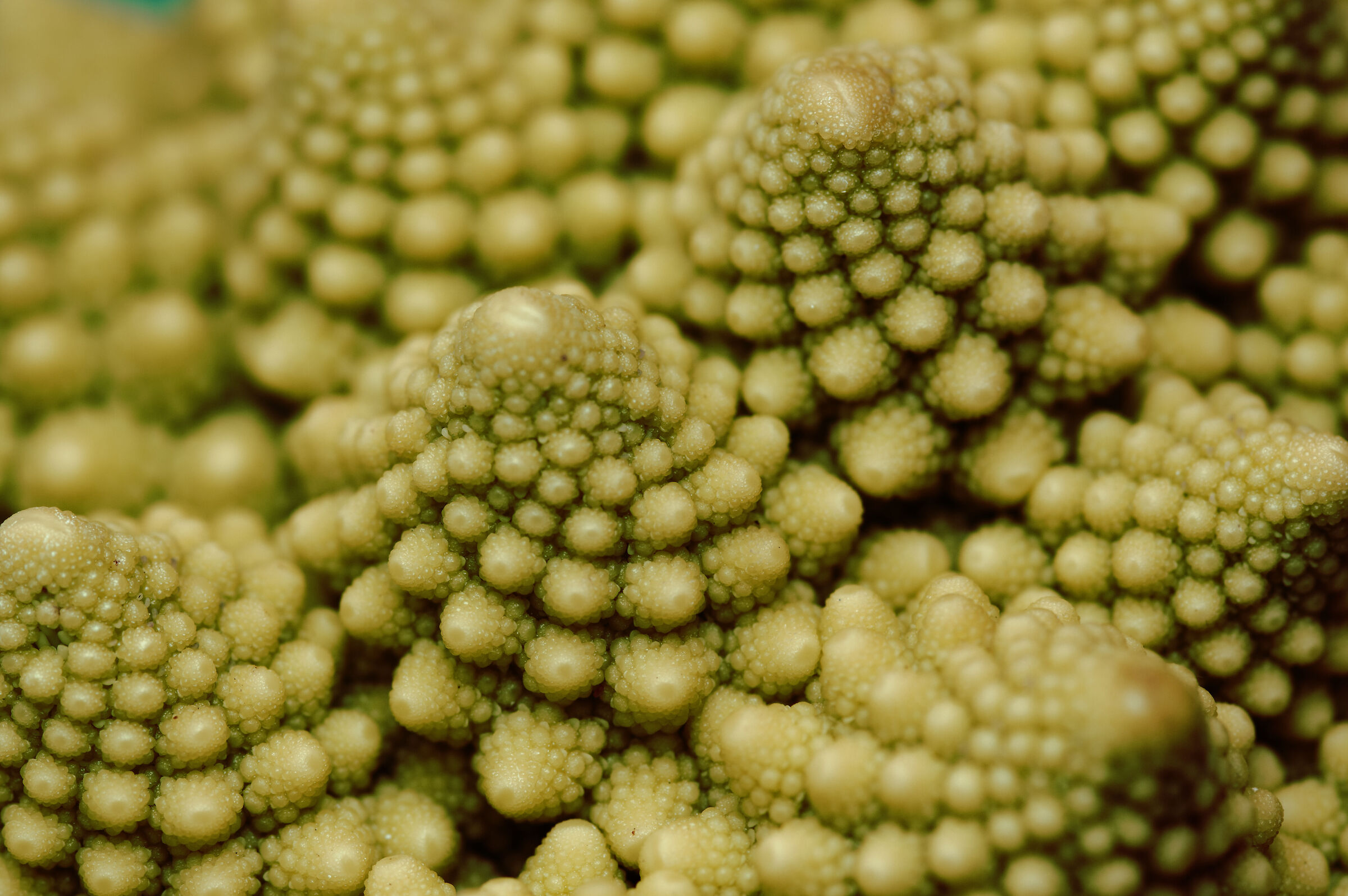 Fractals in the kitchen
