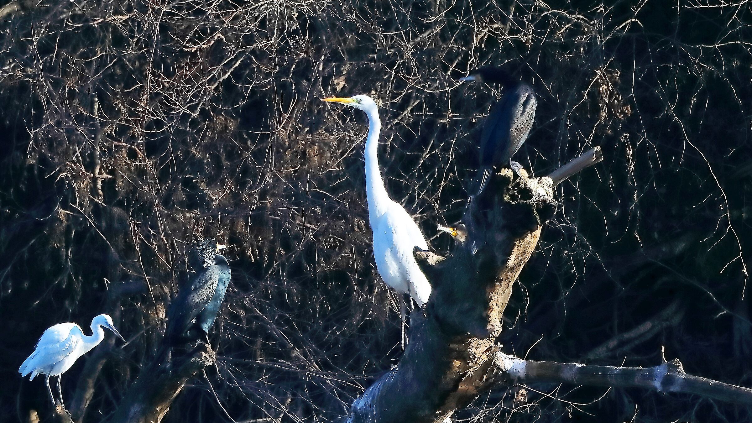 Airone BM 16 gen 2022 -- 055