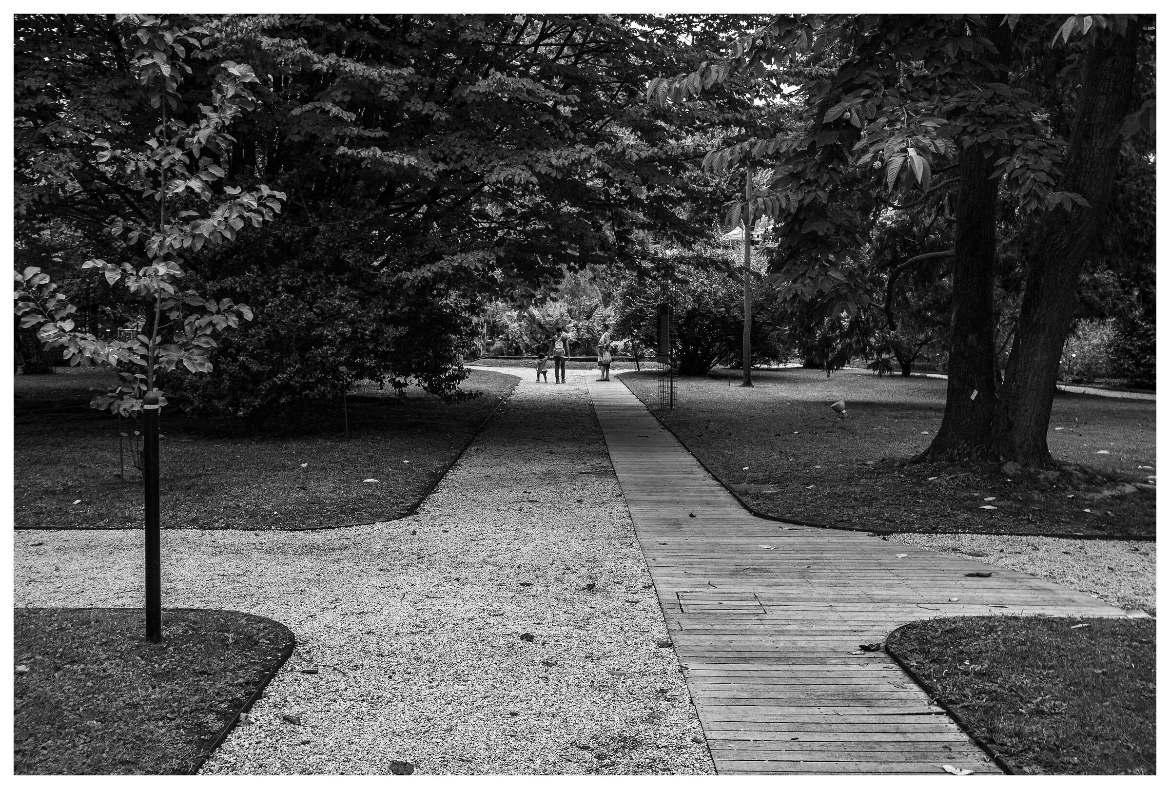 Esplorando l'Orto Botanico