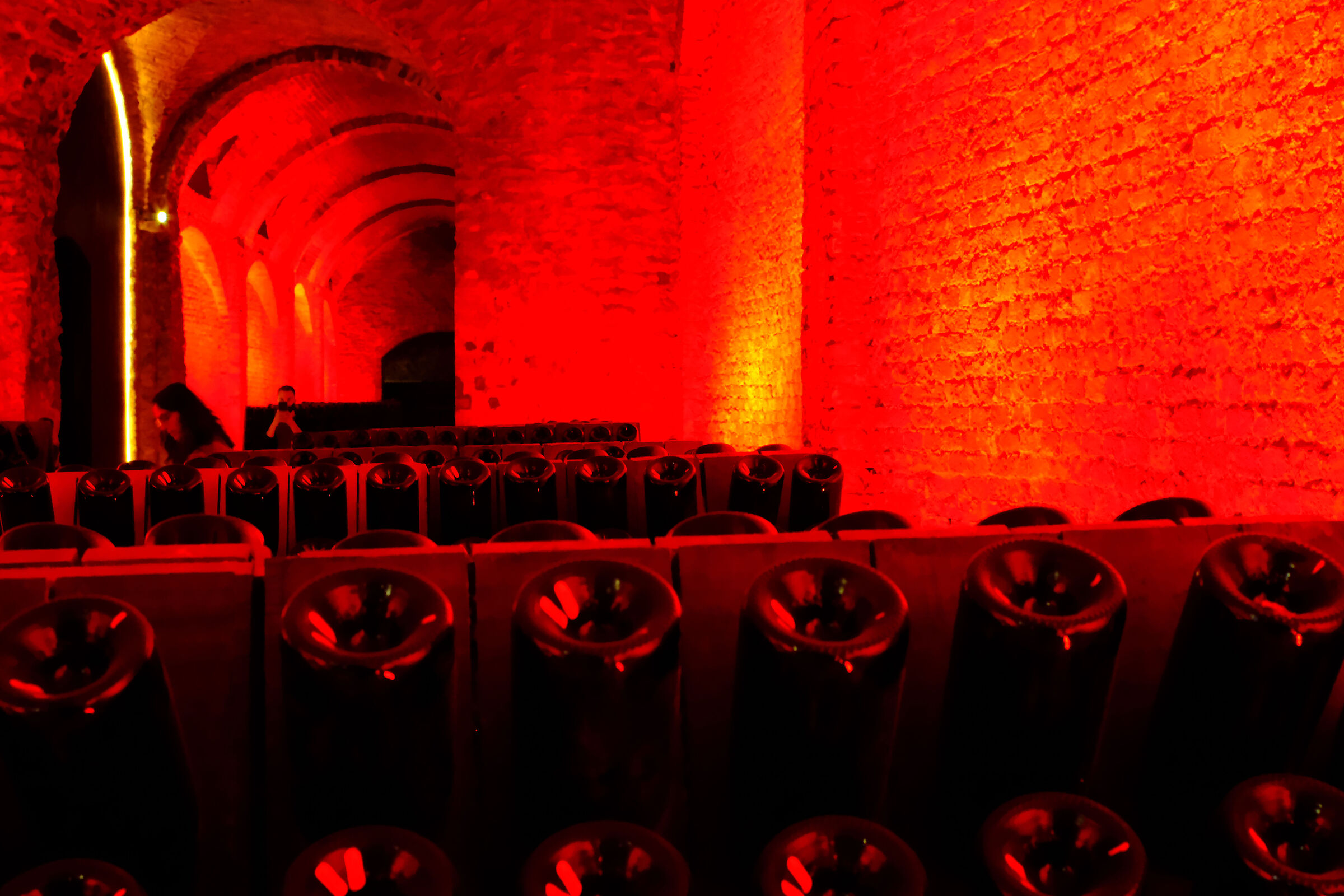 Cellar in red