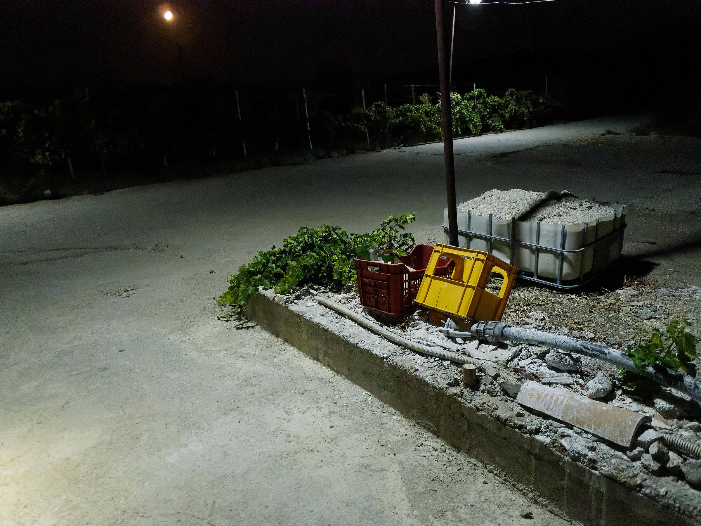 Non usare MAI una micro4/3 a più di 1600 ISO