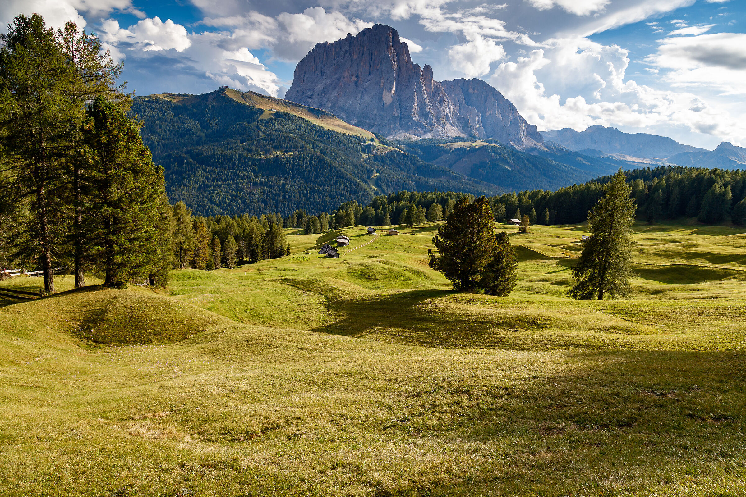 Alto Adige