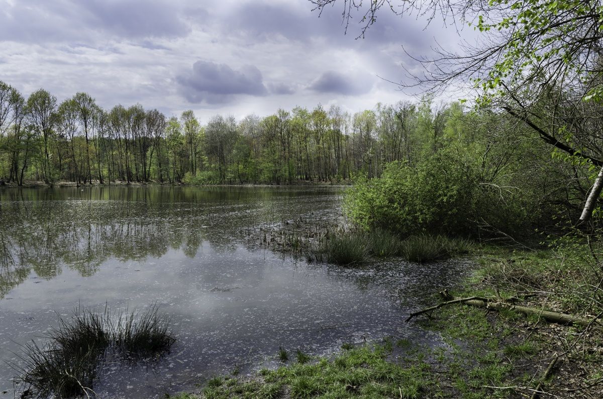 Lago Azzurro Lentate sul Seveso