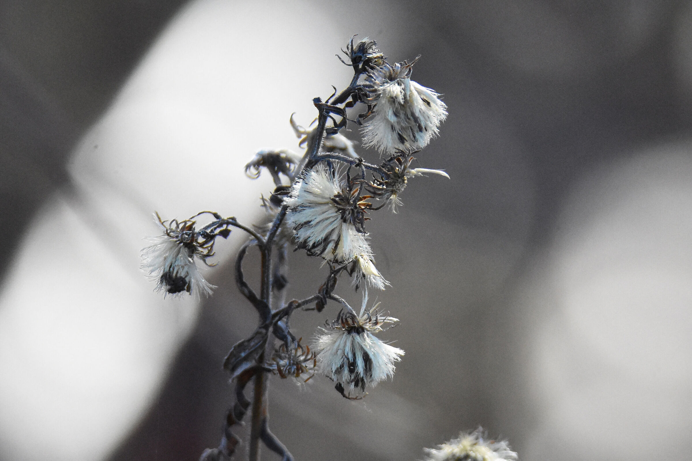 Untitled Photo