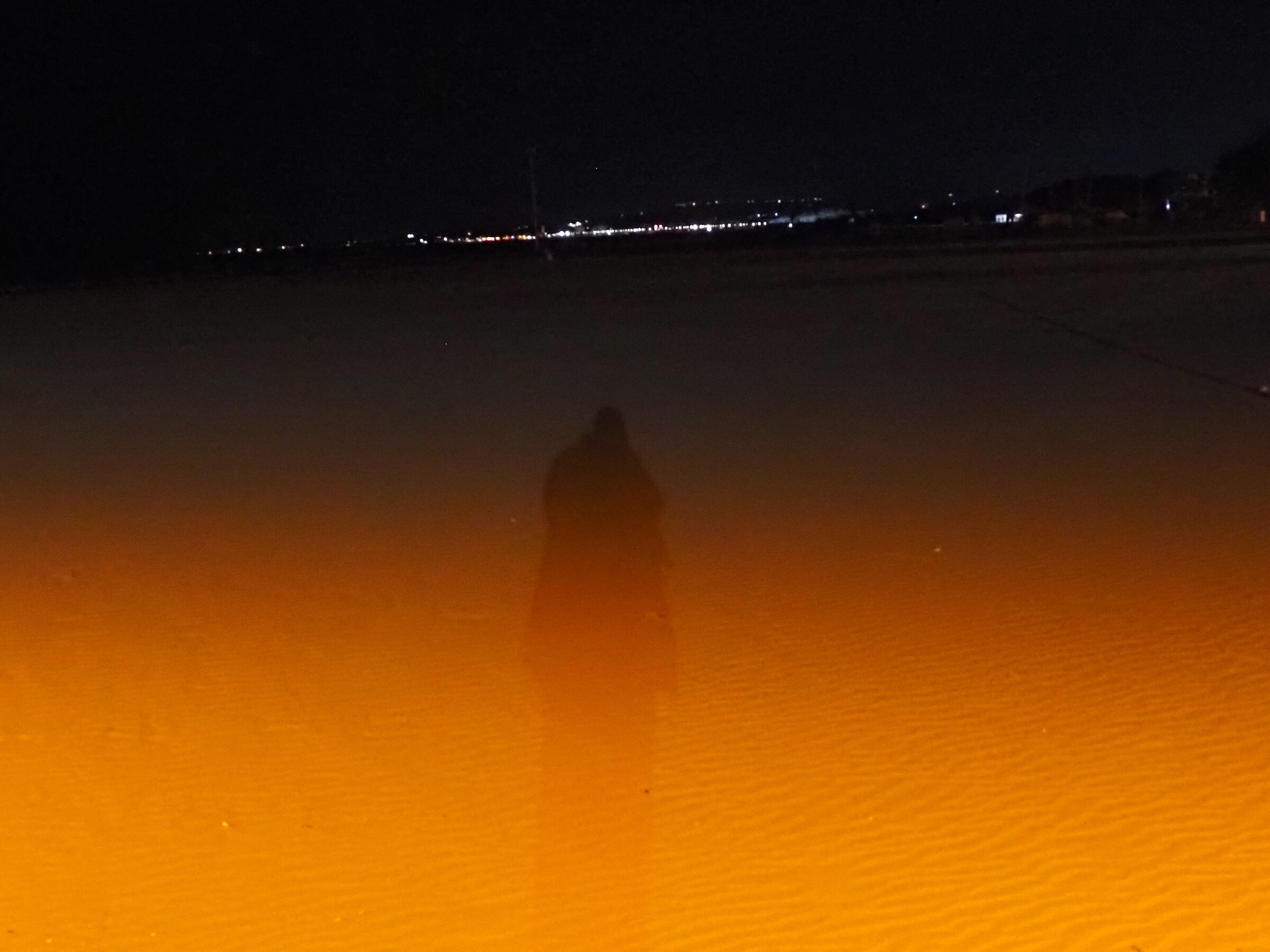 The shadow of myself
