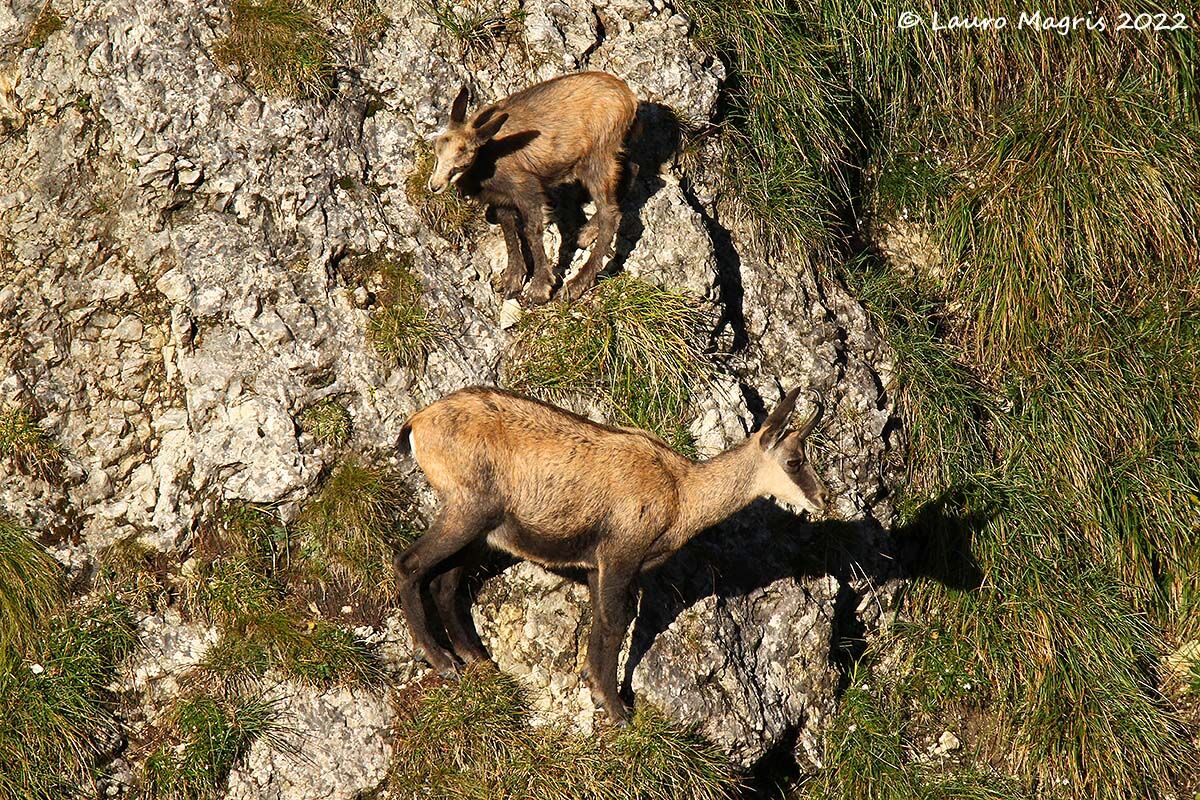 In bilico sulla rupe