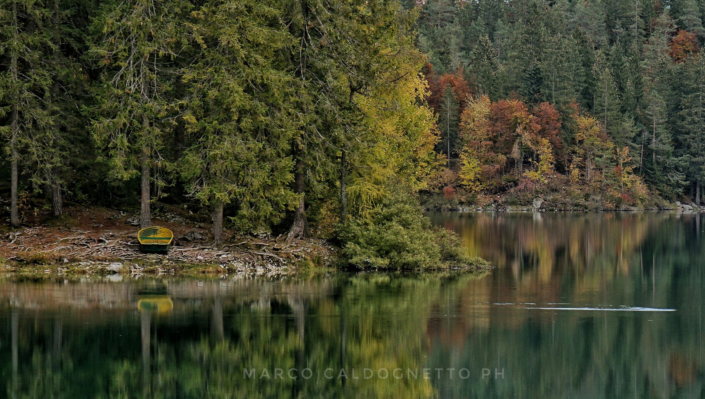 Tovel and the palette...