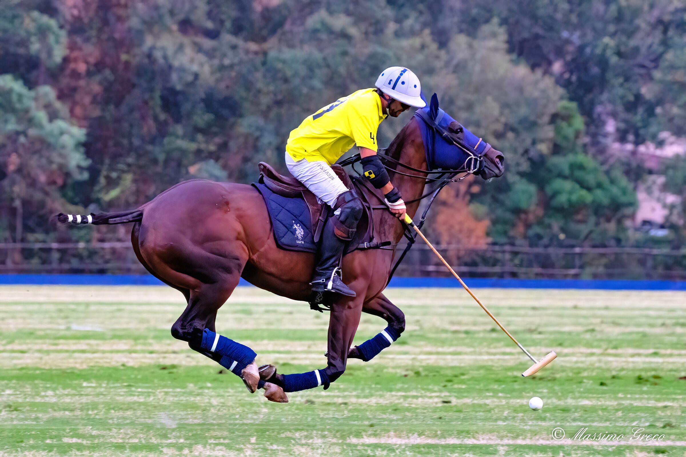 Il giocatore di Polo
