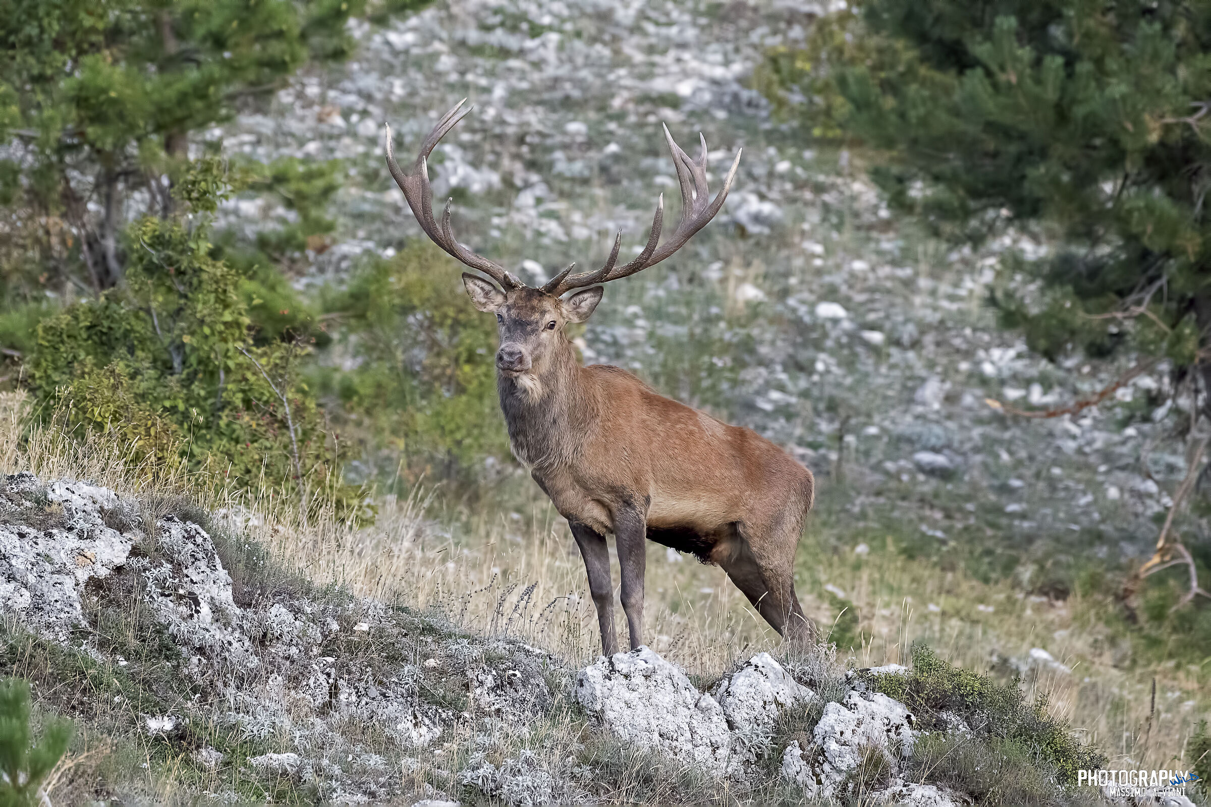 Mettersi in posa per una foto.