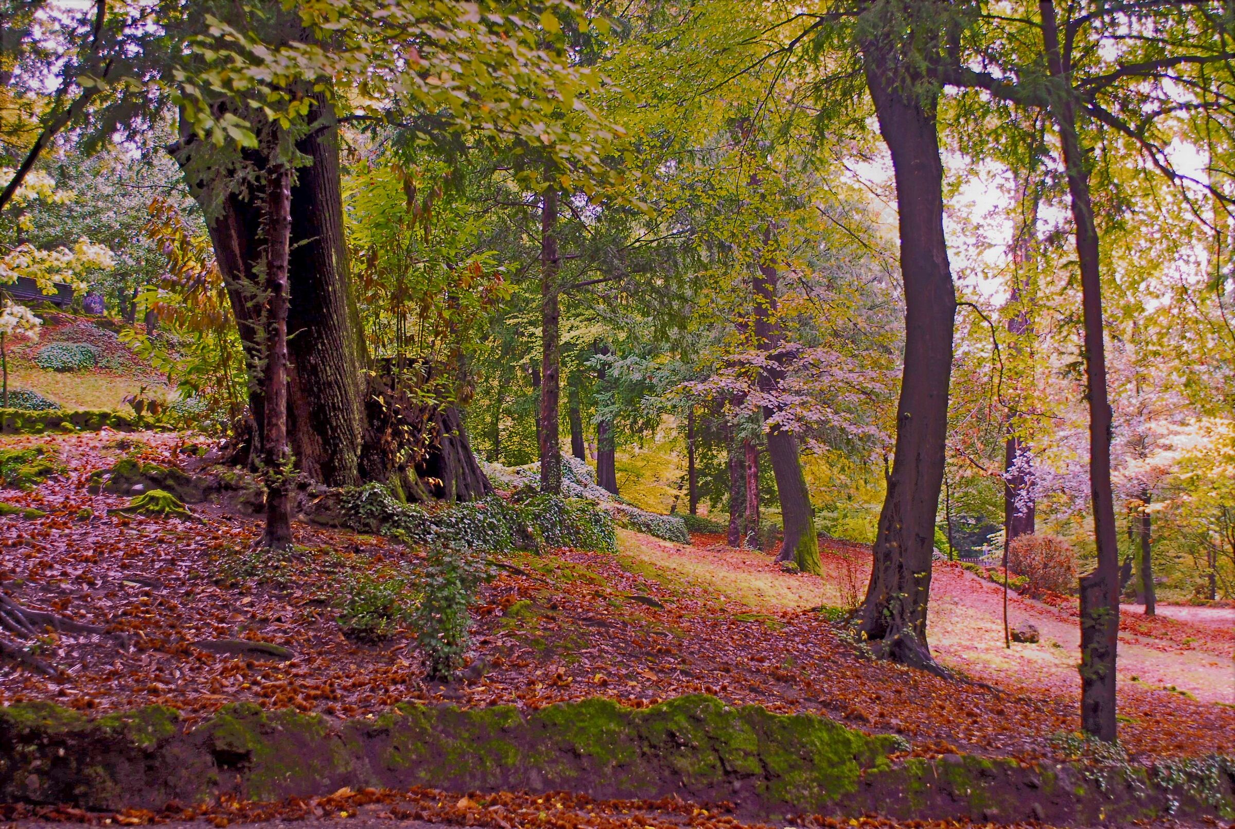 Paesaggio autunnale