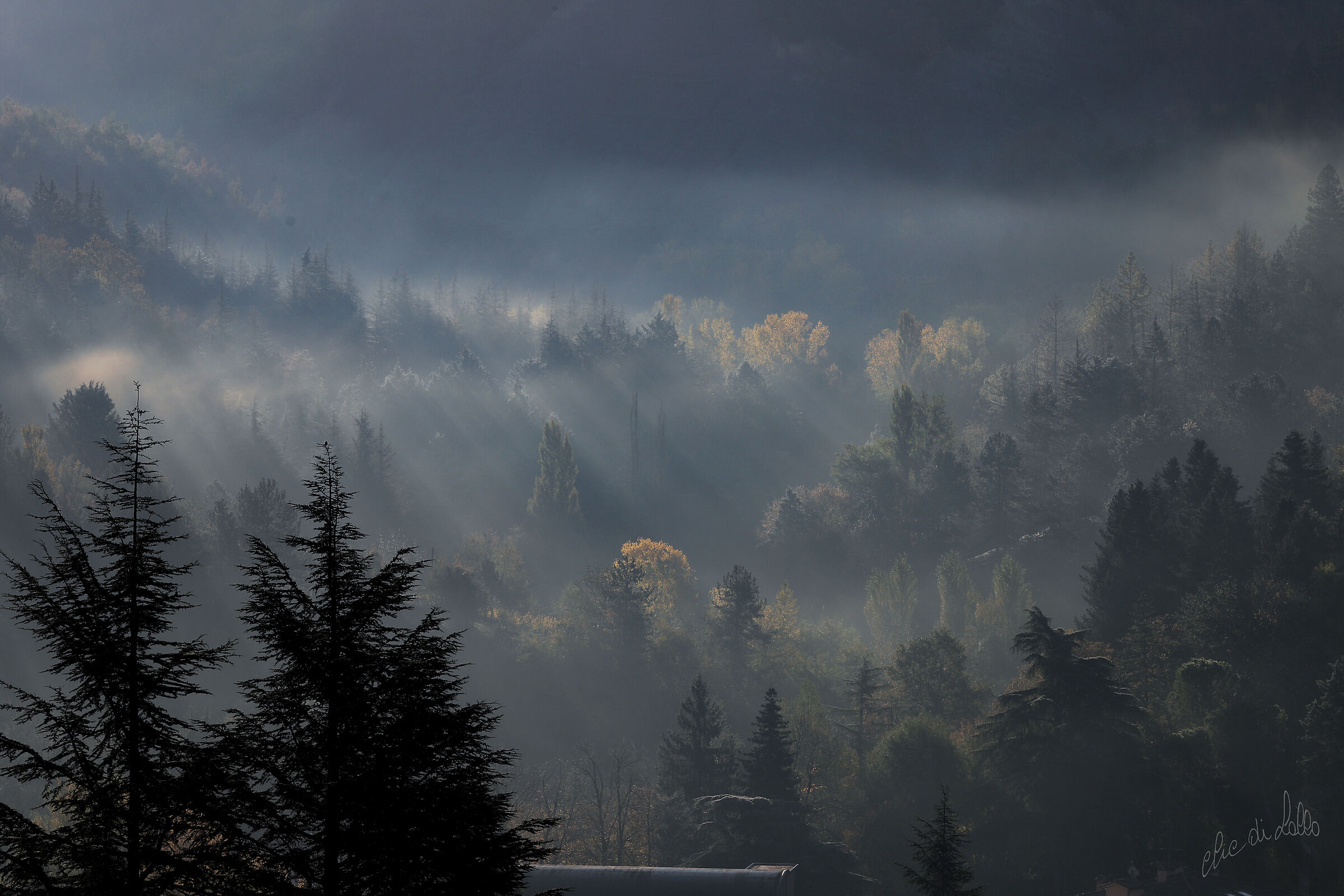 Boschi settembrini a 700 mslm a Premilcuore (fc)