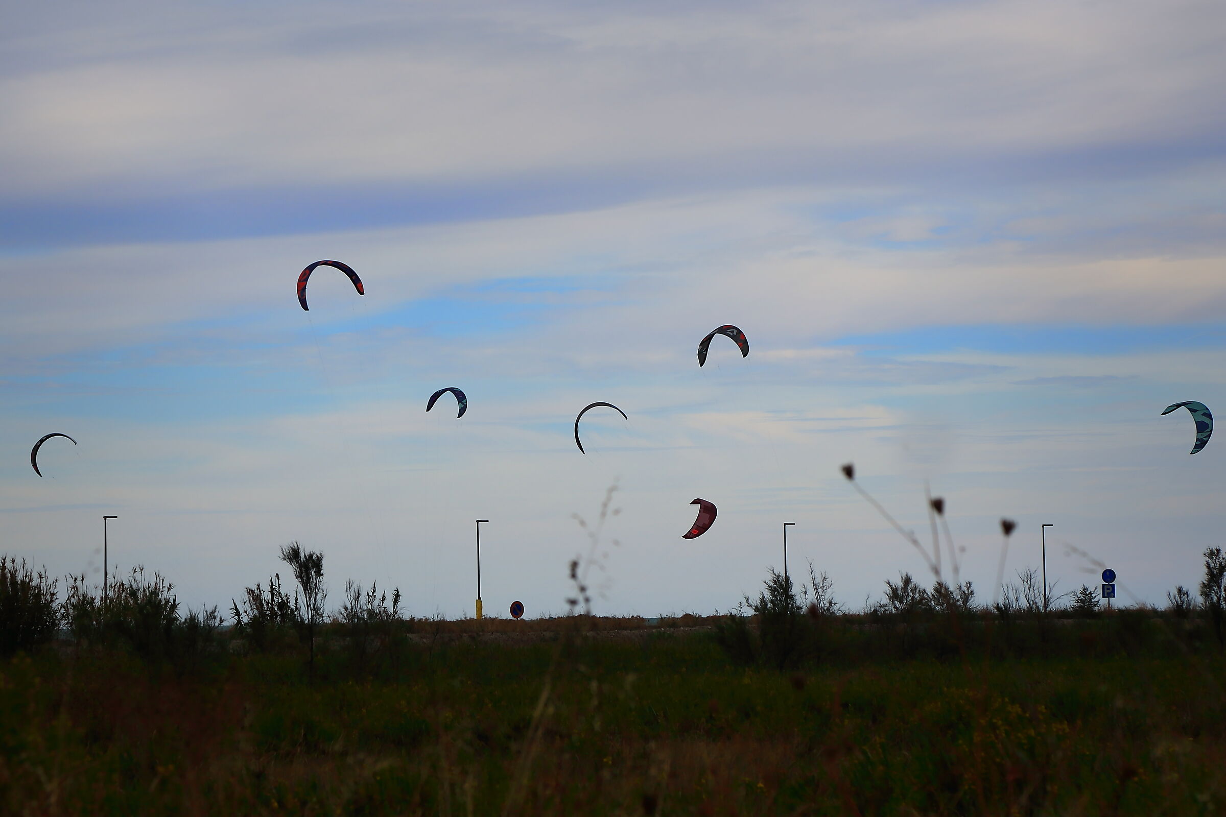 Kite