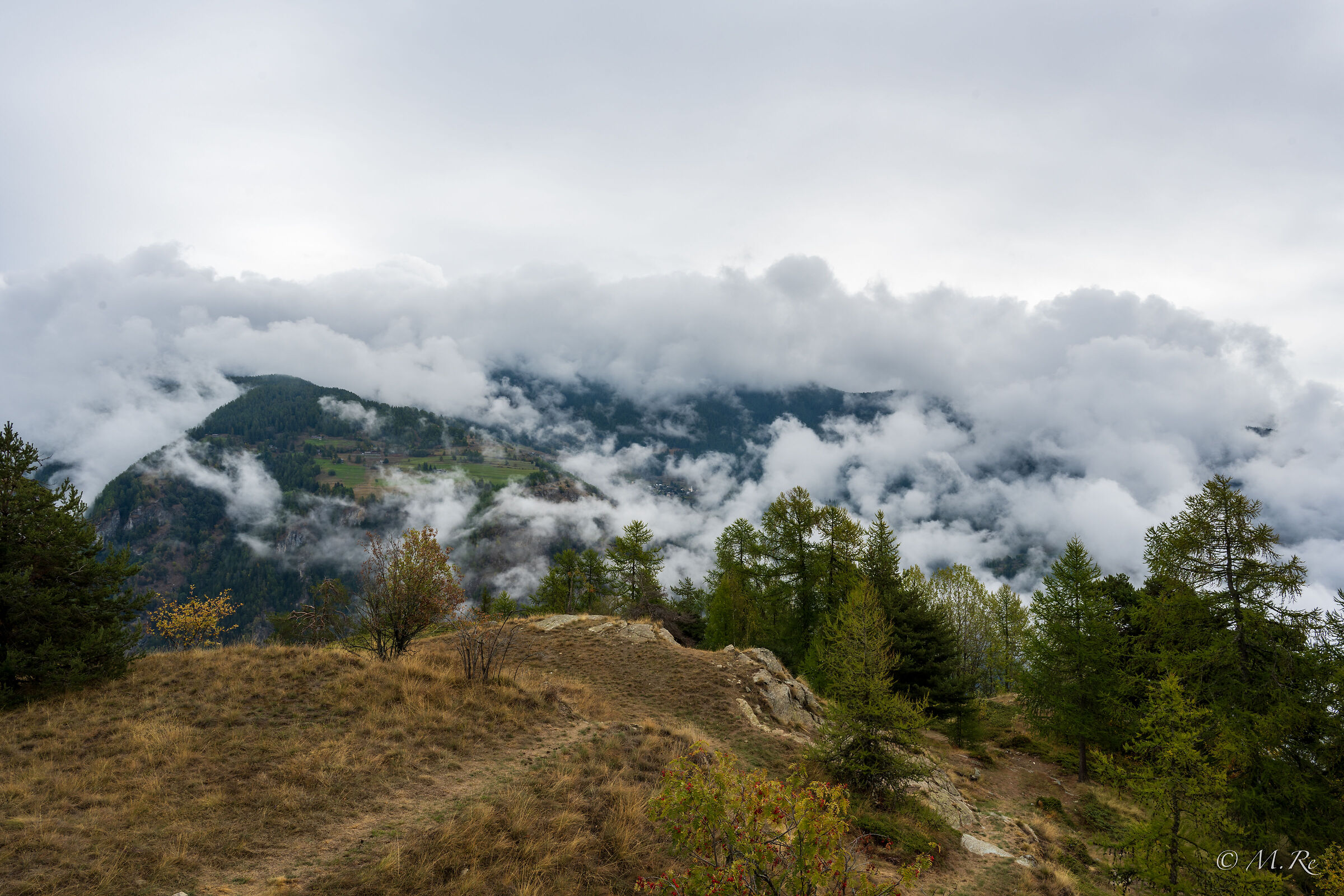 Autumn in the mountains (z7ii)