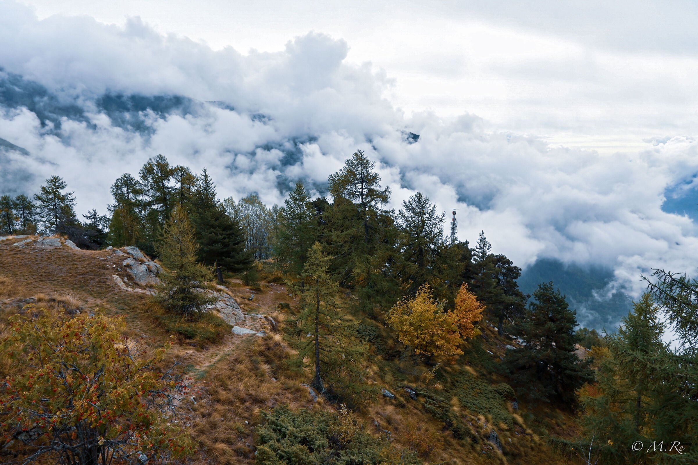 Autunno in montagna (z50)
