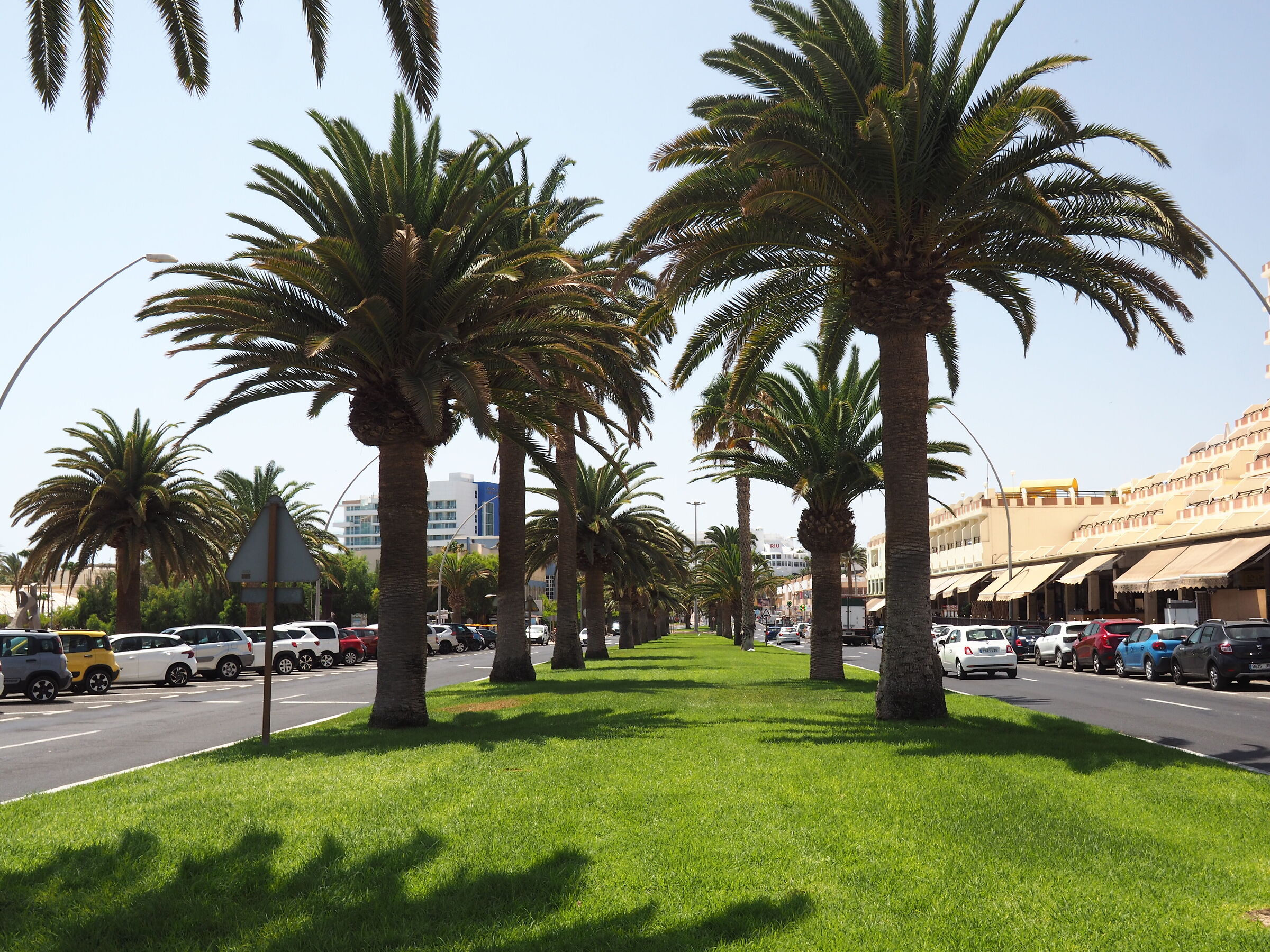 prova che l'obbiettivo funziona a 18mm il 10 agosto