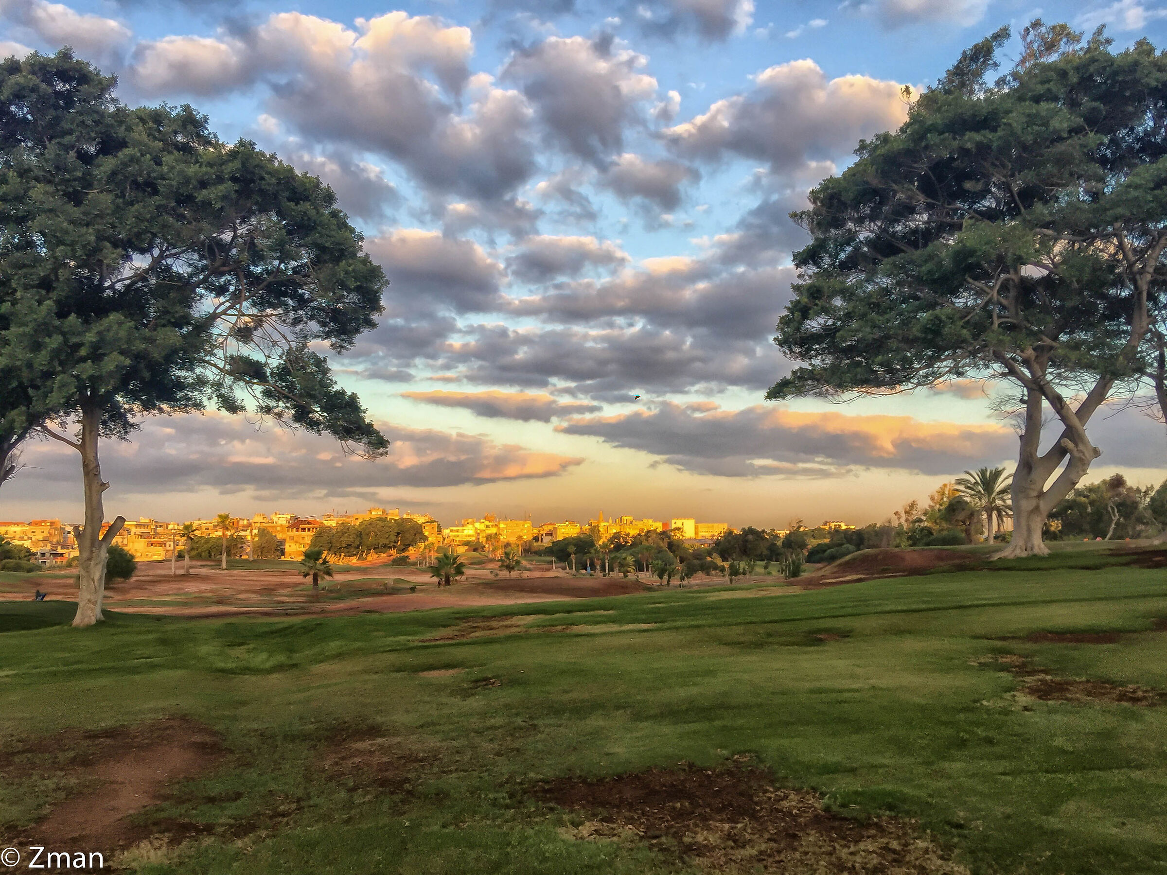 Early Morning On The Golf Course