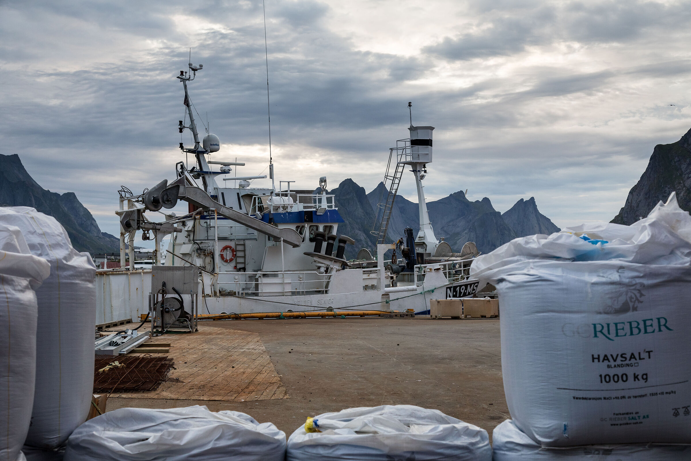 Salt at the port of Reine