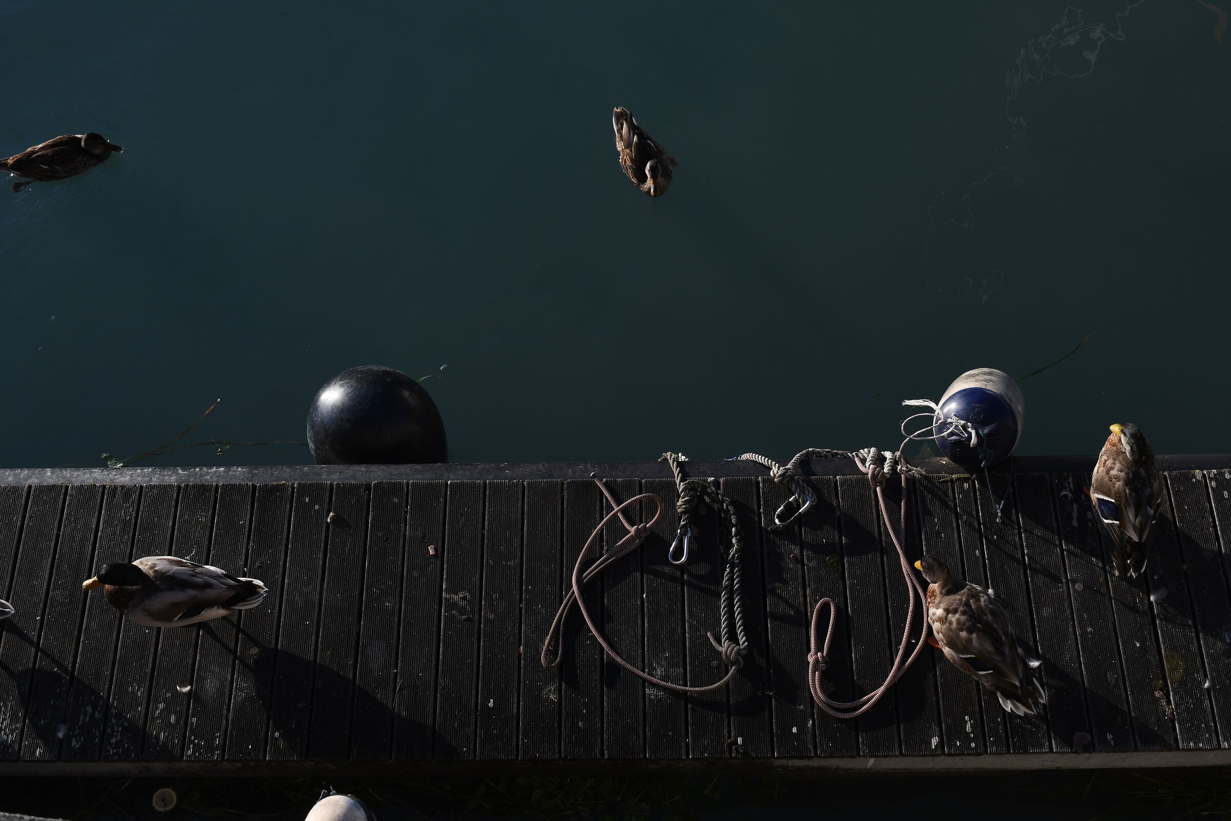 Sirmione 1