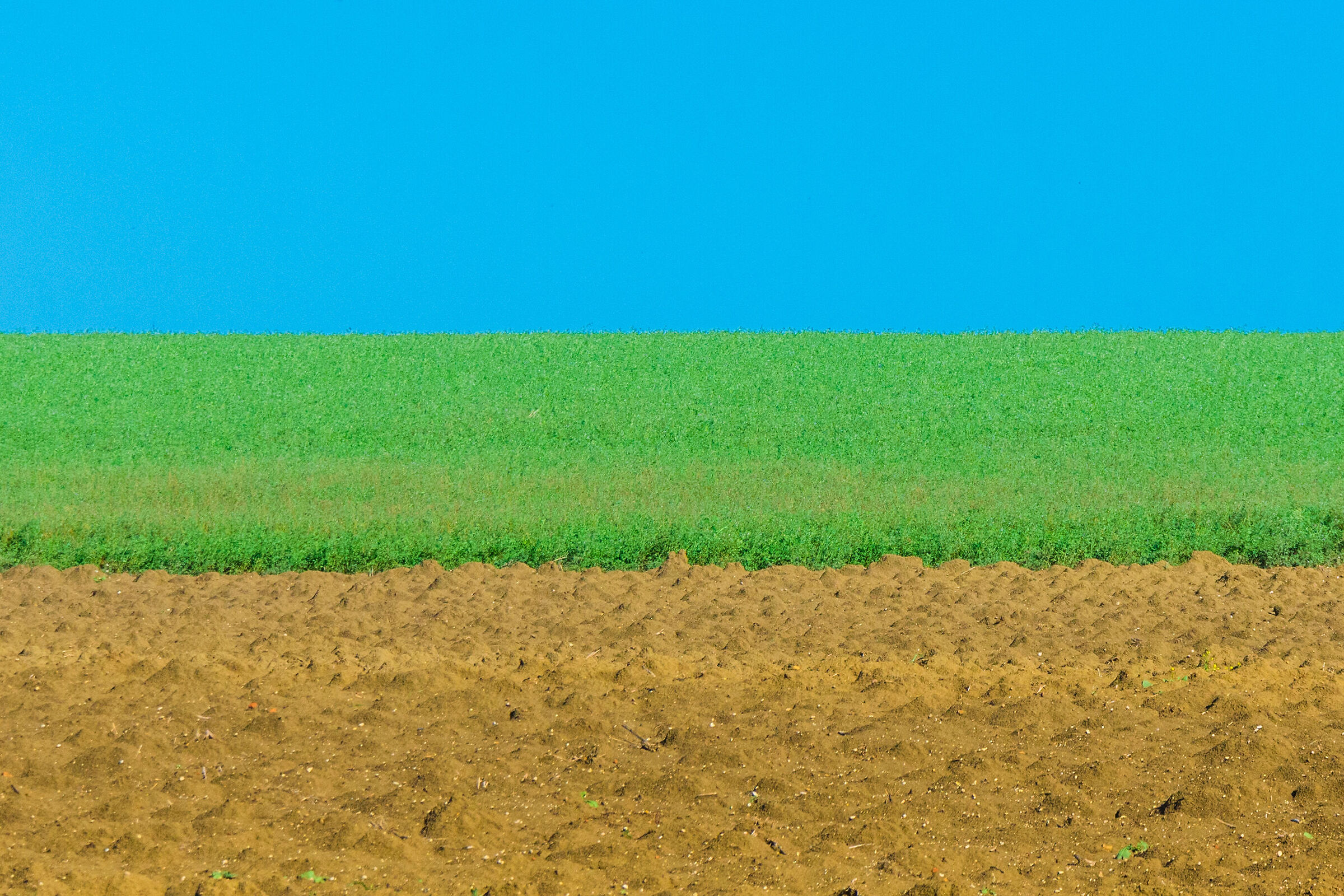Colors