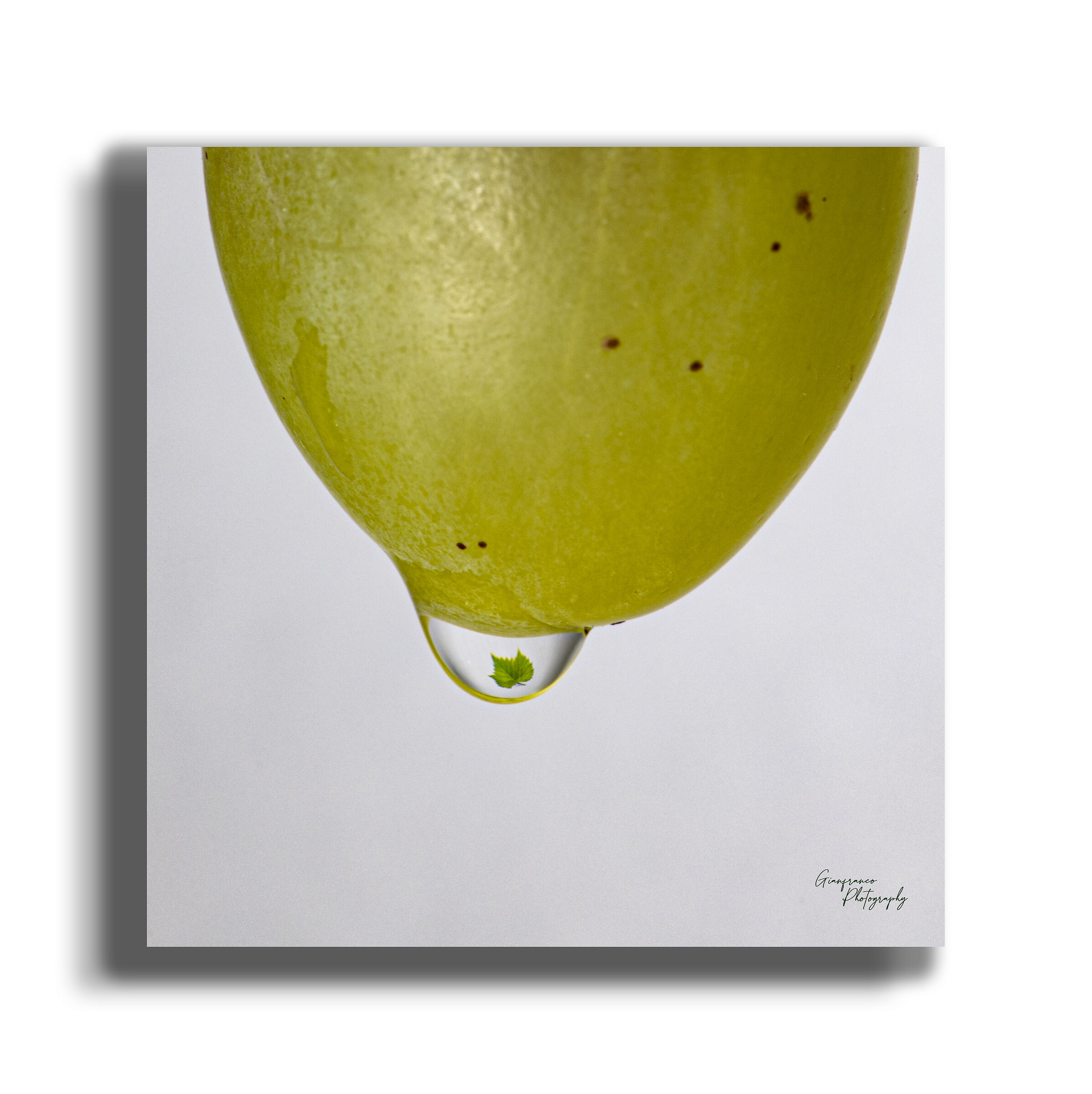 The leaf in the drop