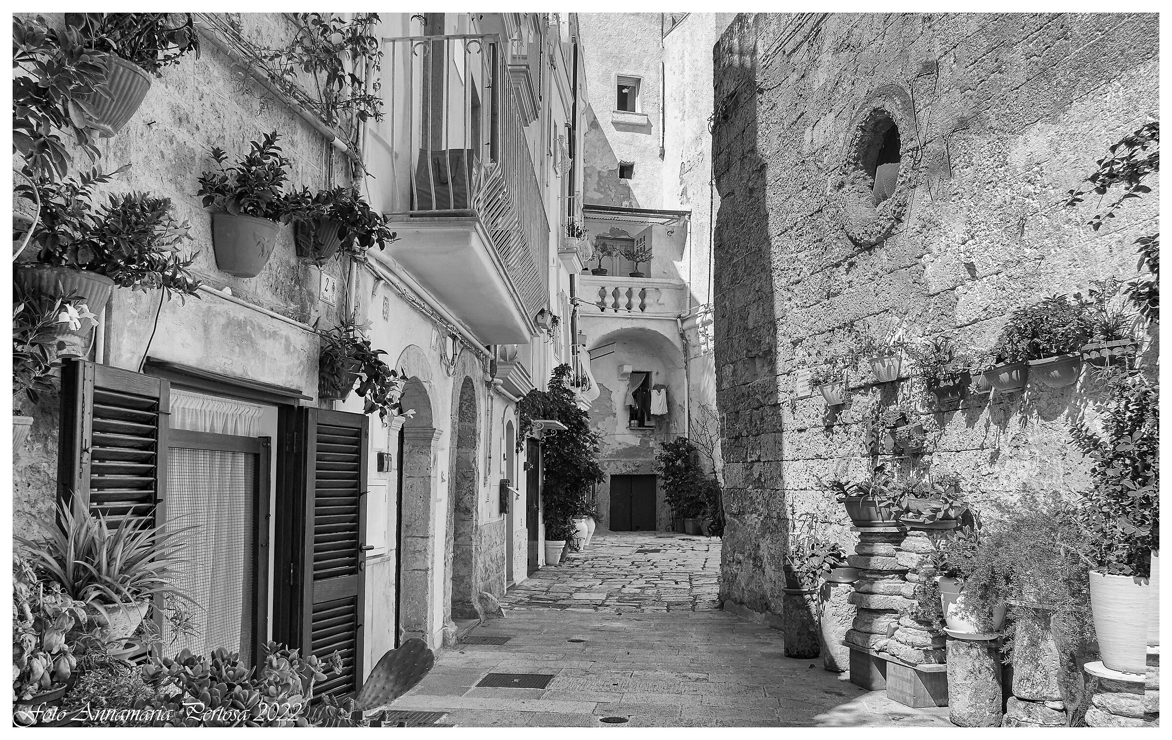 Monopoli e la perla del suo centro storico