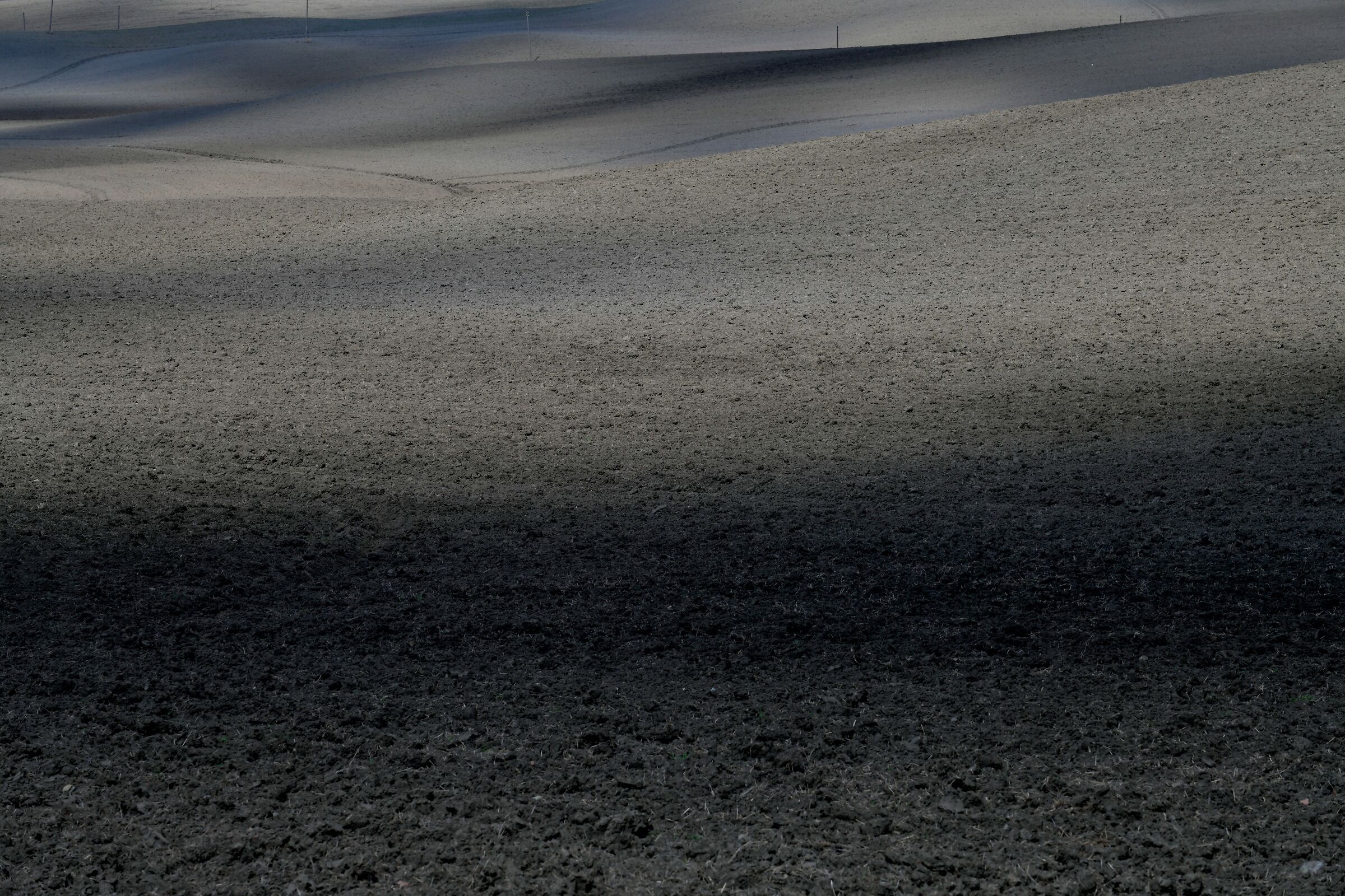 Luci e ombre su terra di Siena