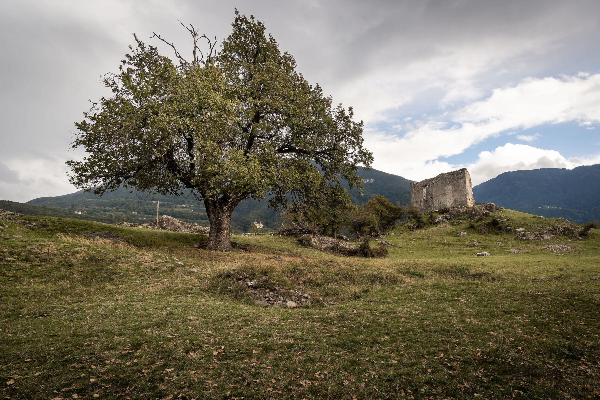 Rovine di Castelfeder