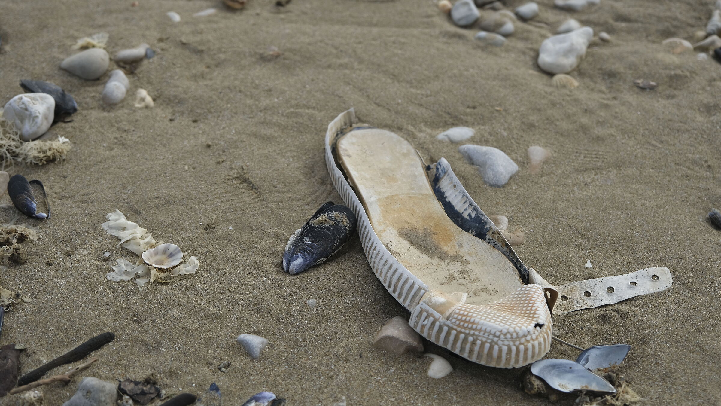 Rispettiamo il nostro mare...