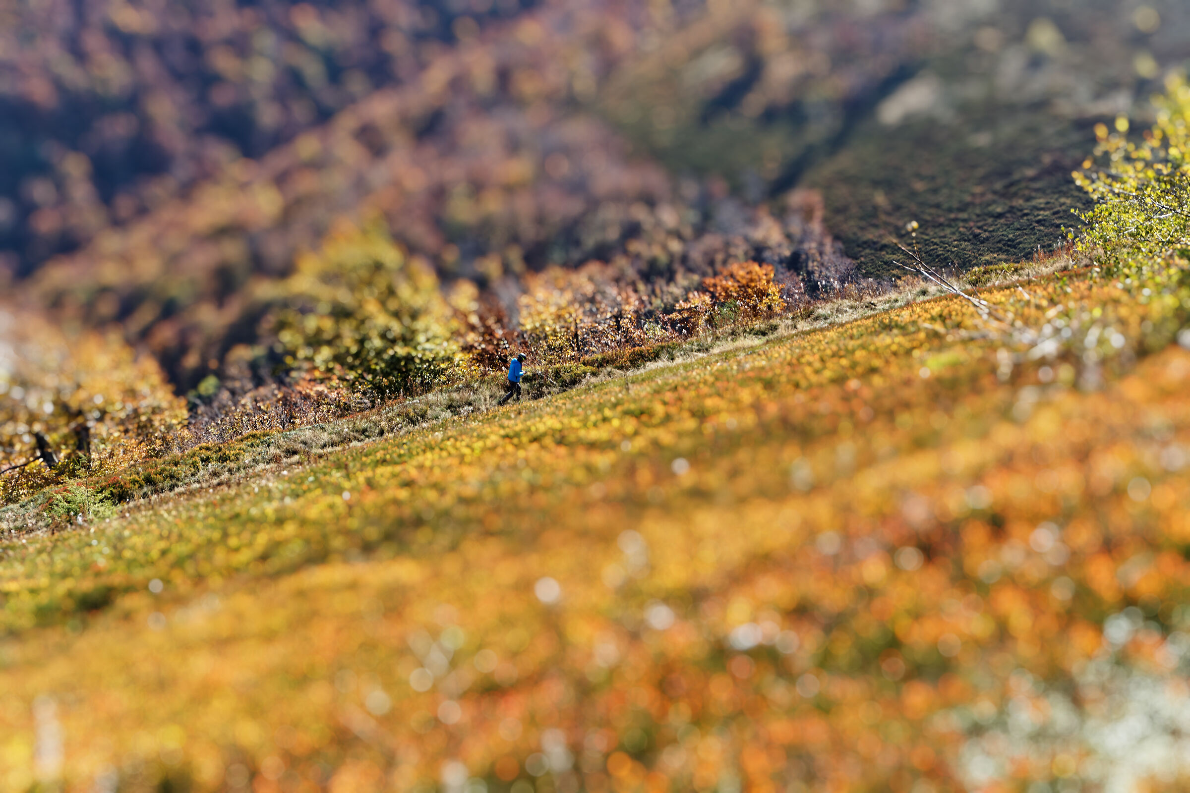 Always uphill