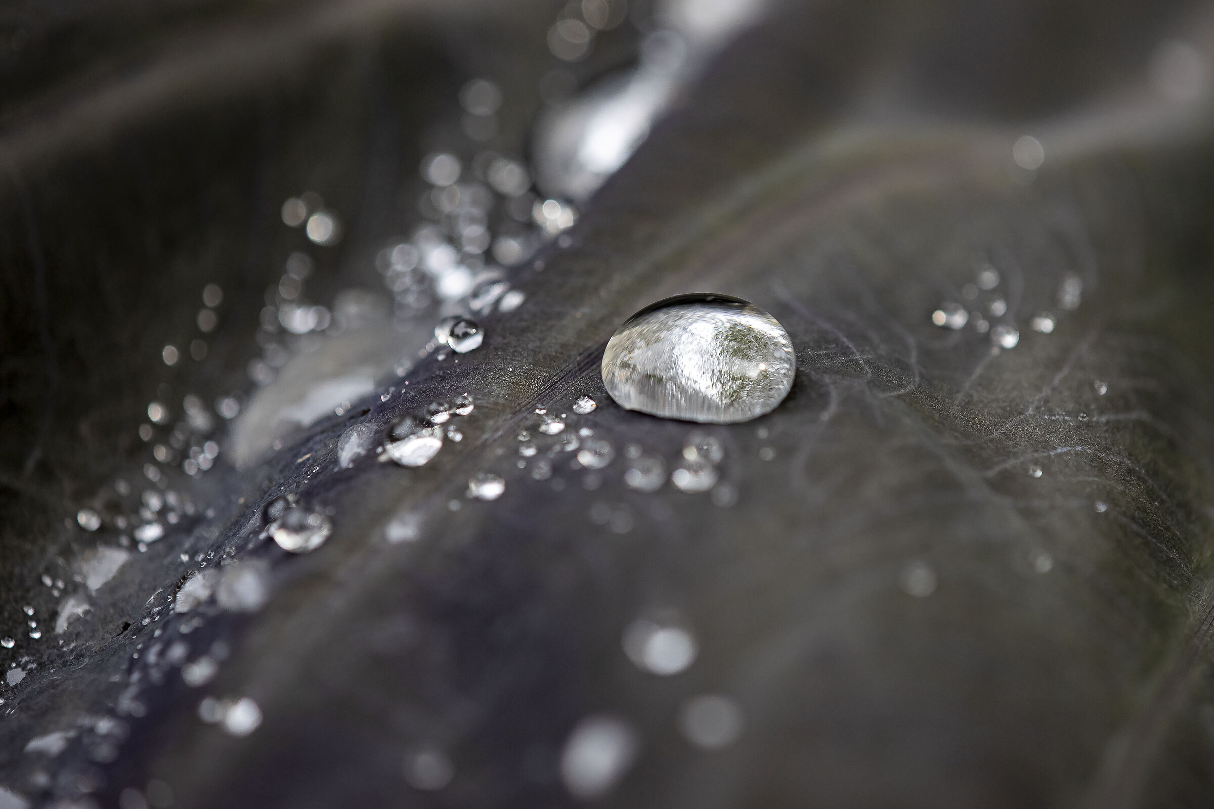 Drops