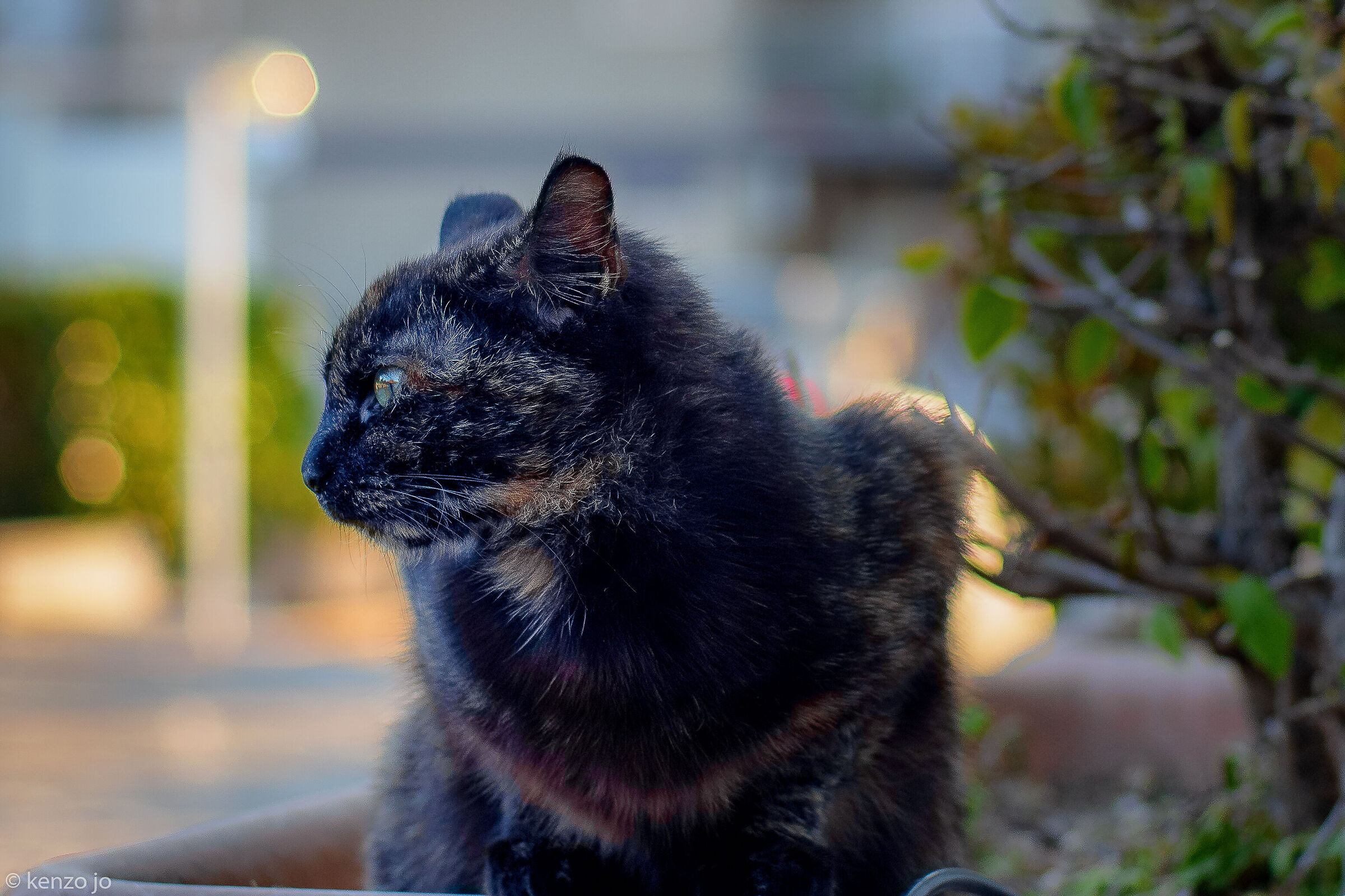 Quasi sera e tanti pensieri...