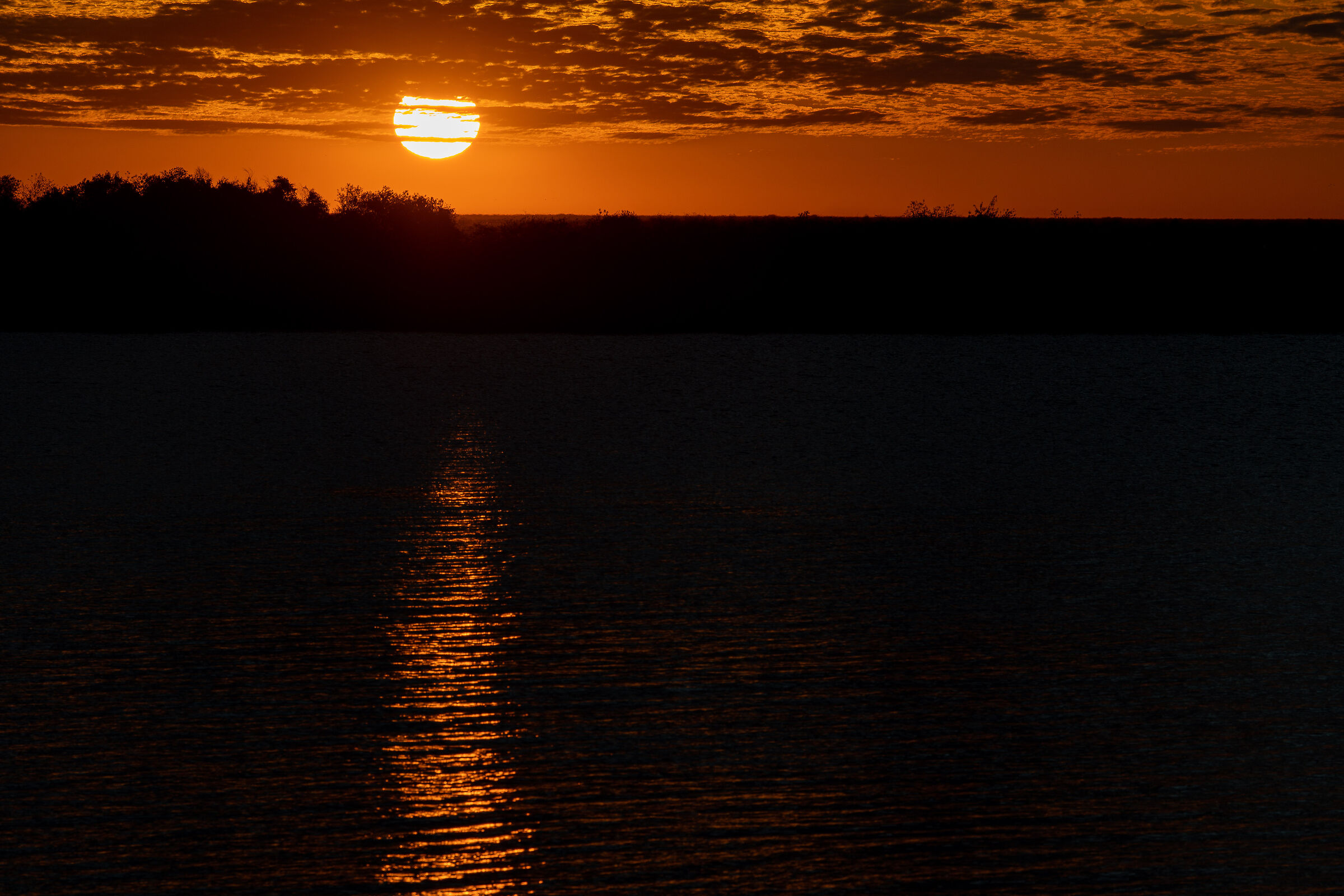 Atardecer en los Esteros del Iberá II