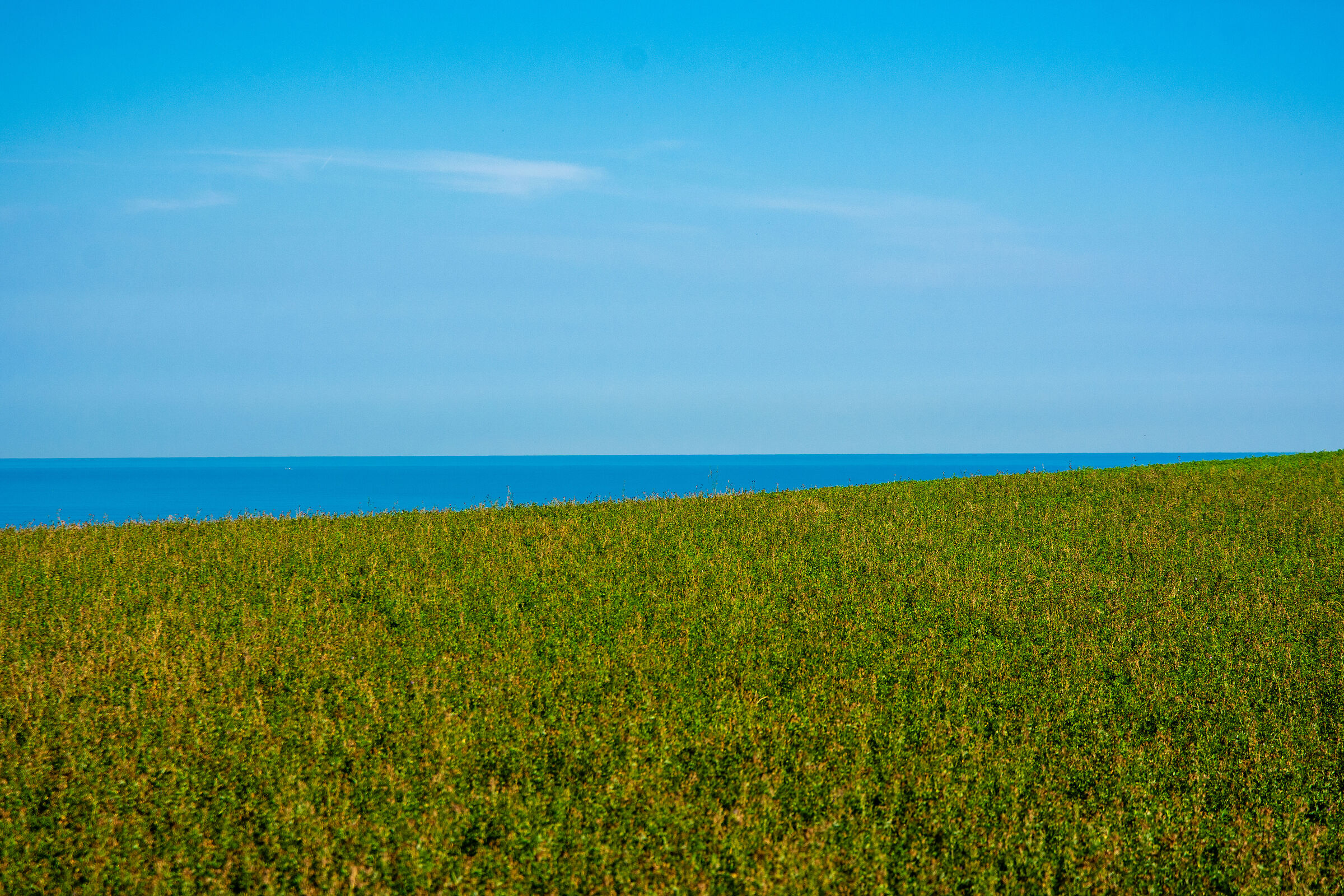 Paesaggio a colori