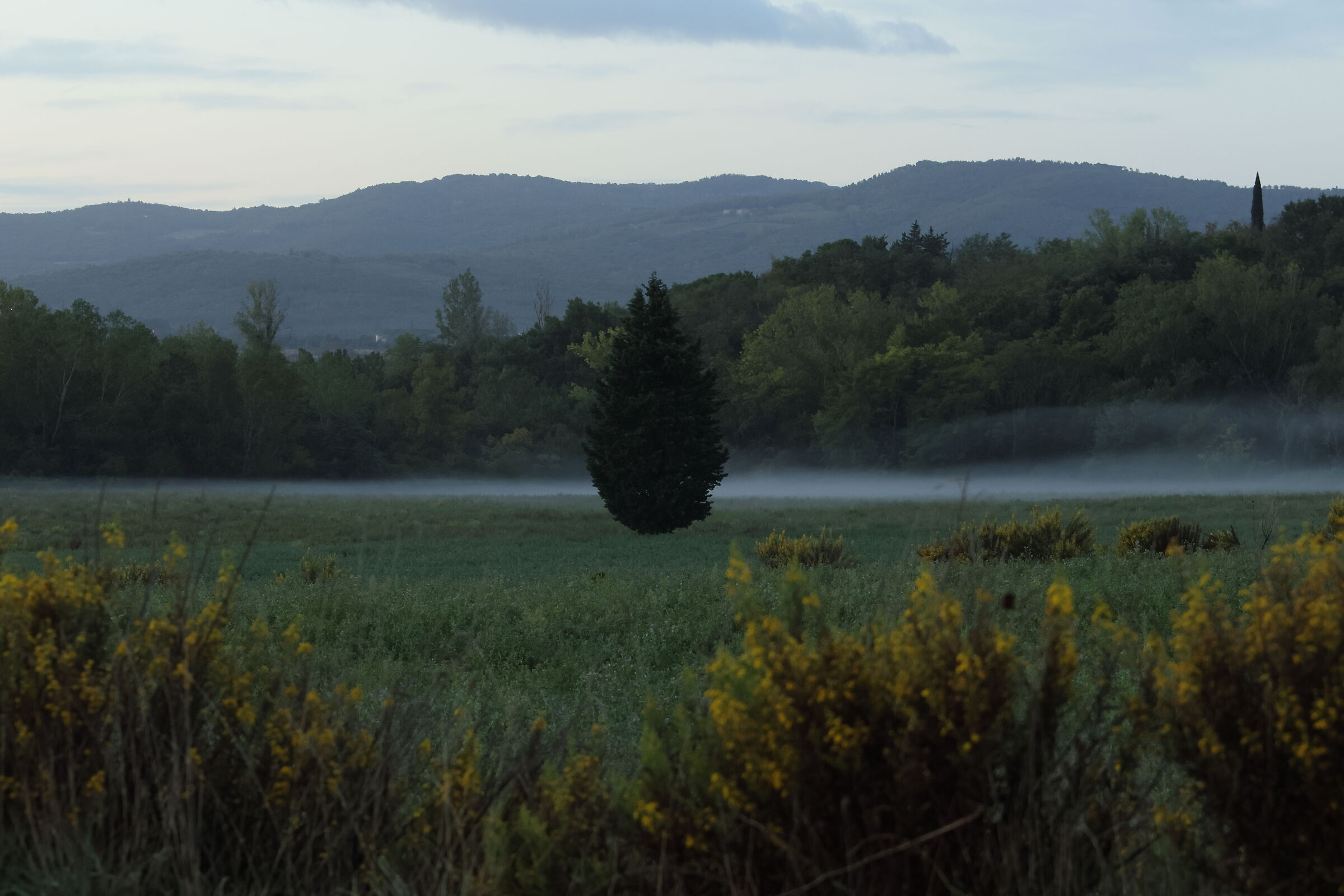 Alba to Laterina