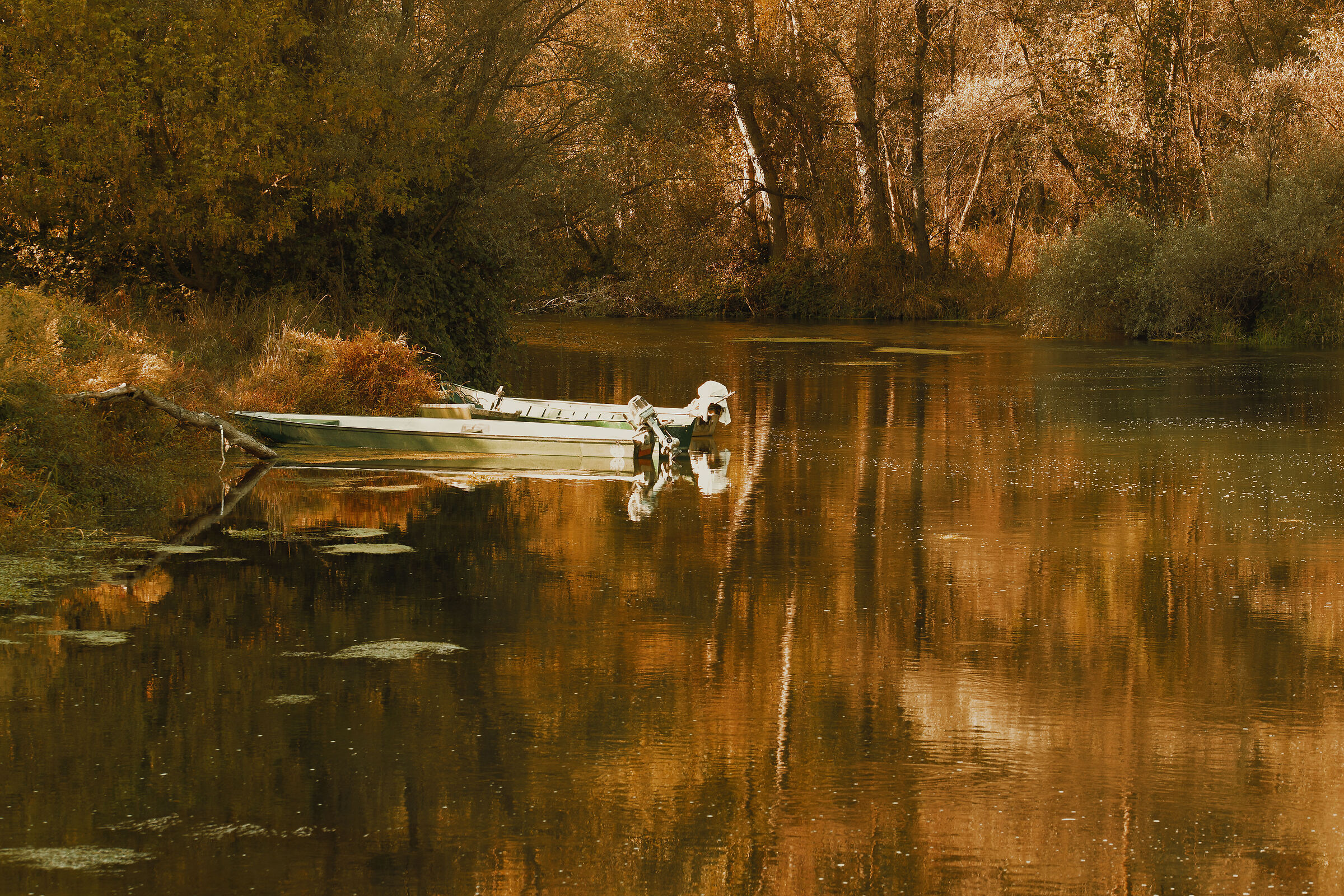 Autumn is just around the corner