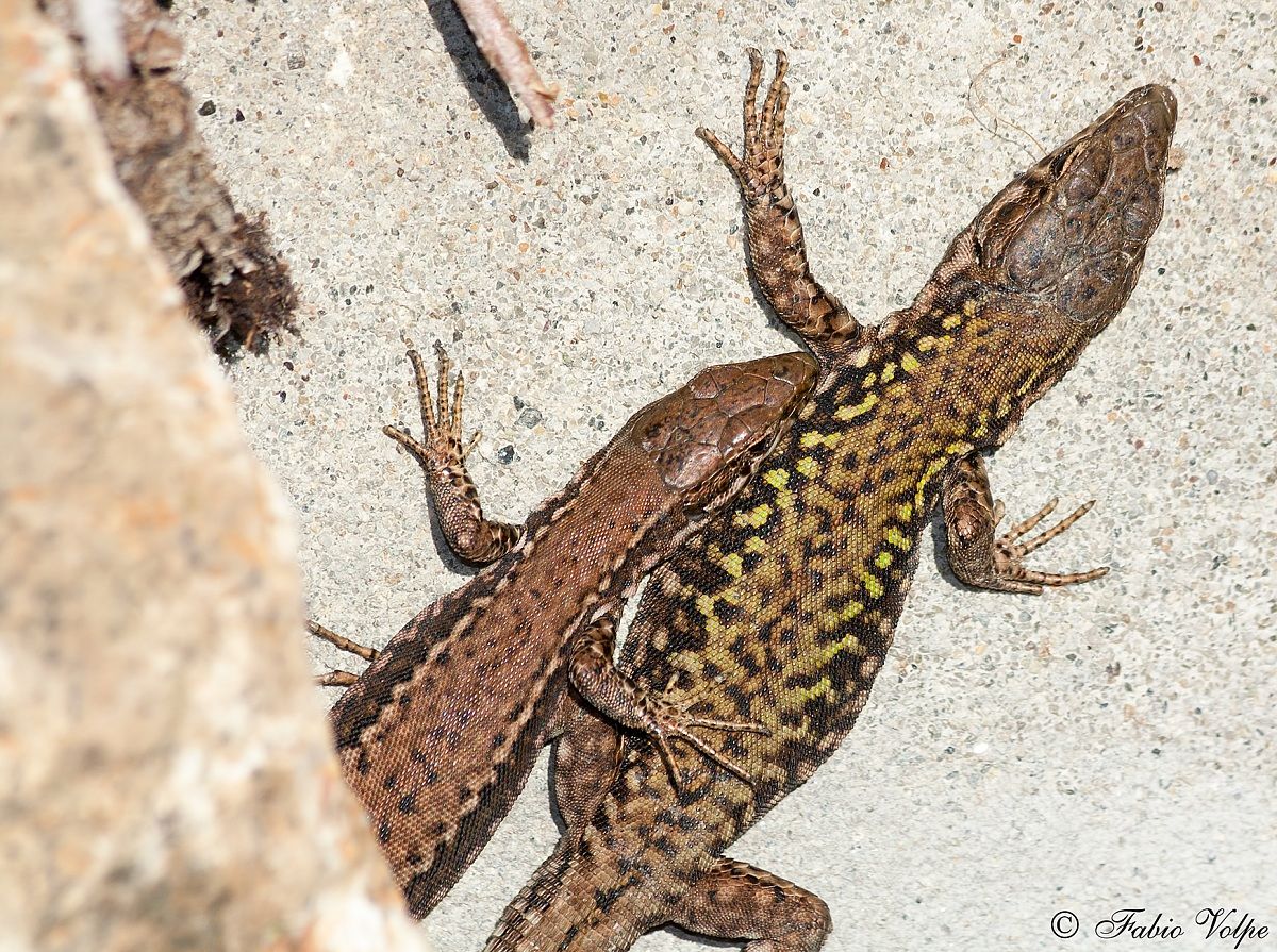 We are close neighbors