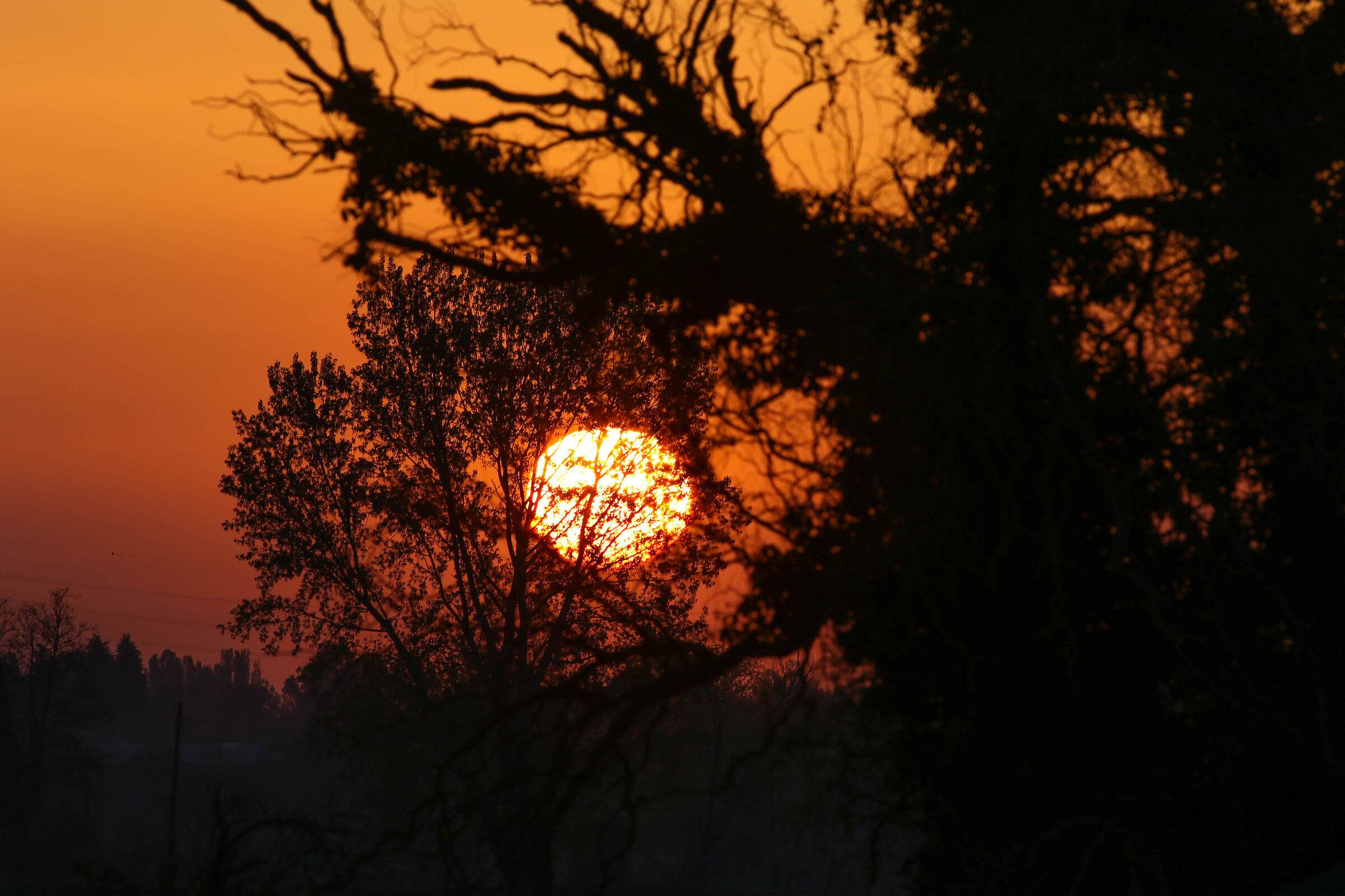Il sole ha riscaldato tutto