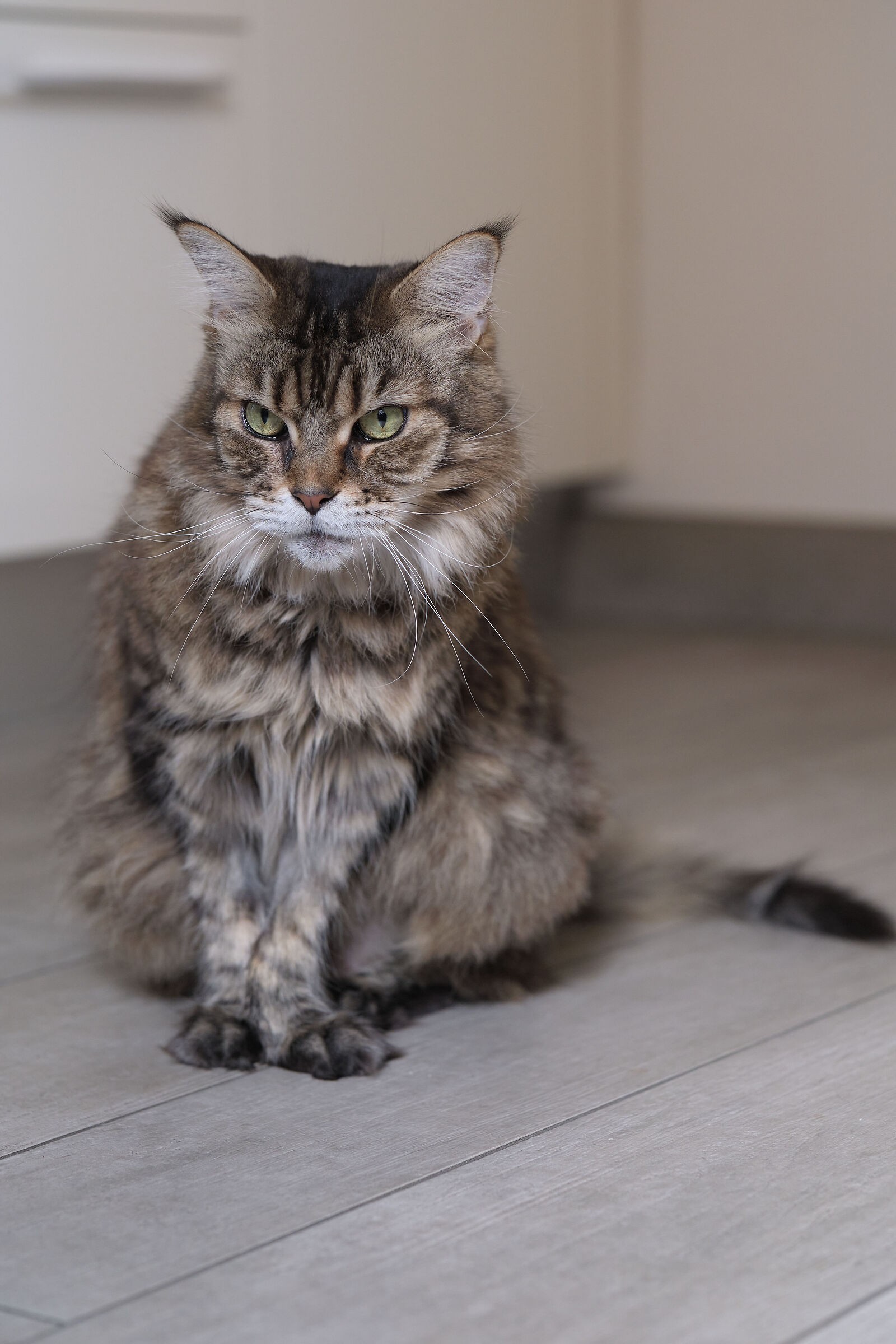 She is Nemesis the model for the test of the 56 F 1.2 R WR