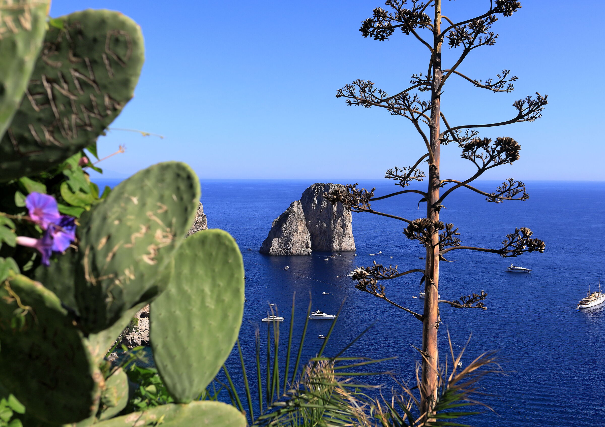 capri