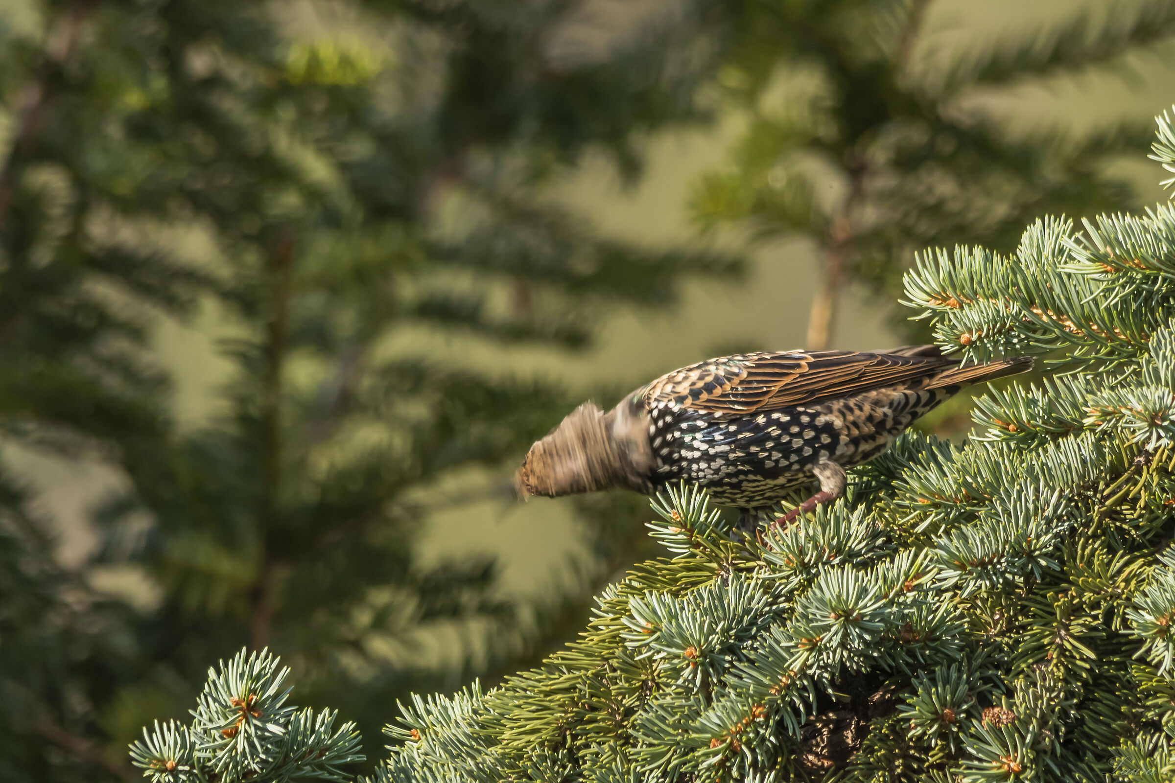 You make my head spin.