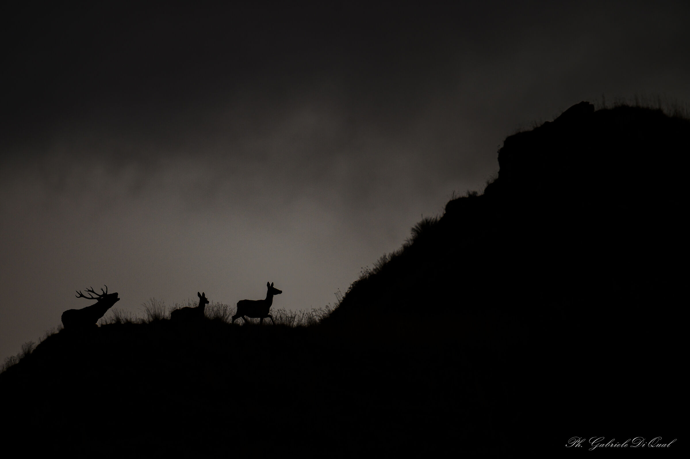 Silhouettes